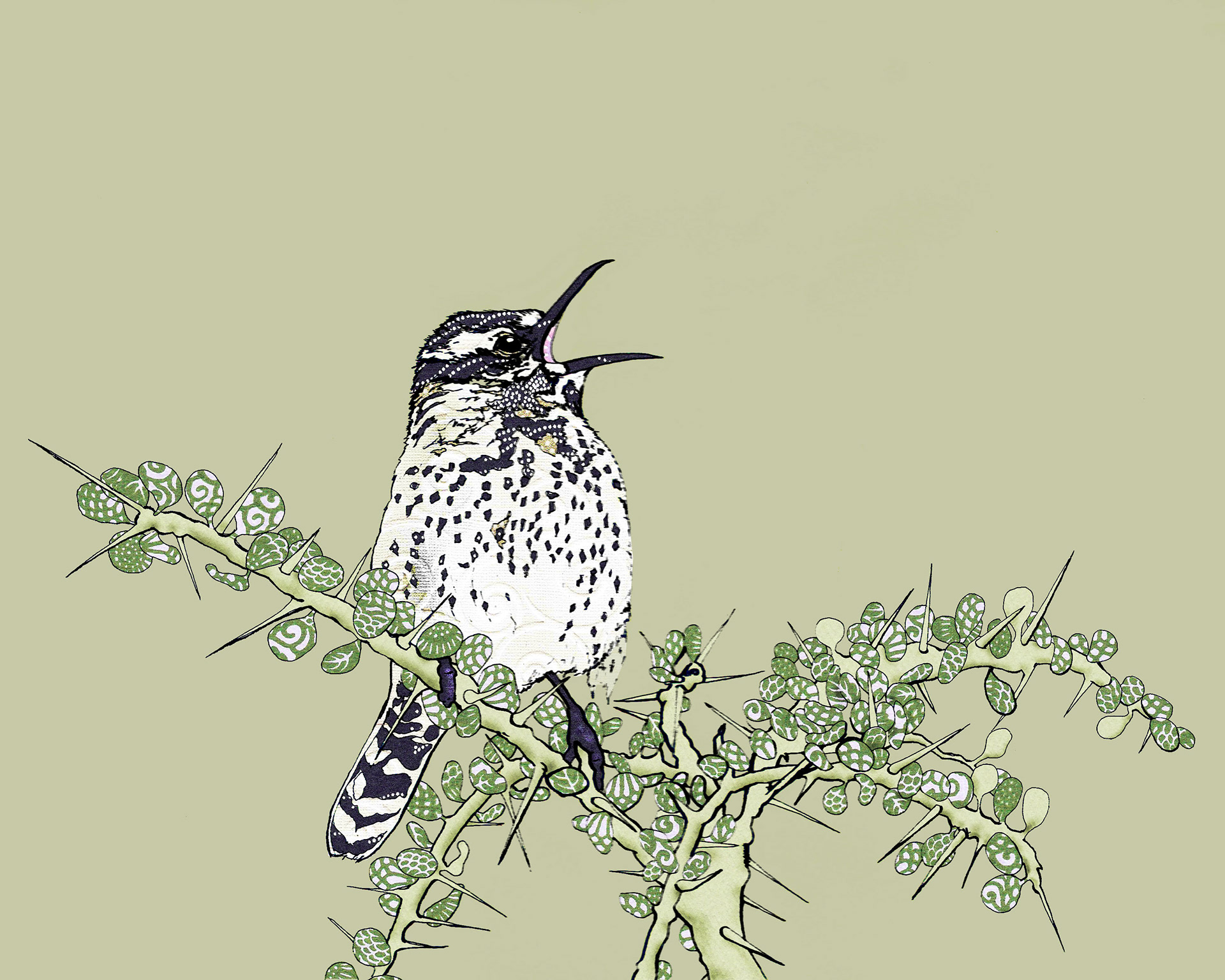 Cactus Wren