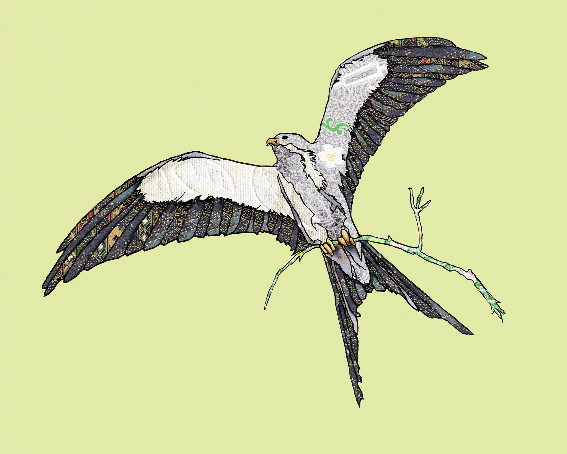 Swallow-Tailed Kite