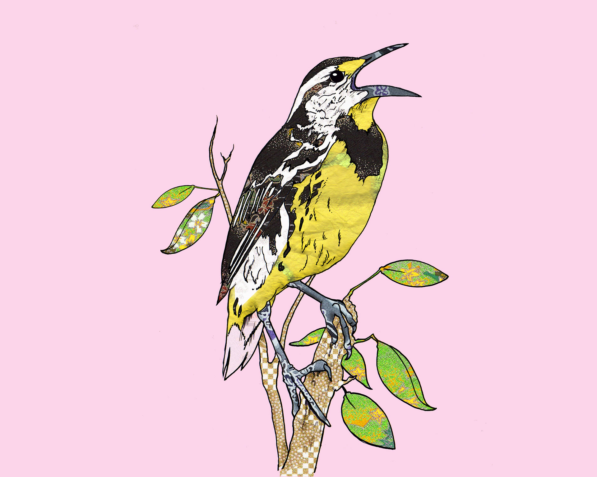 Eastern Meadowlark