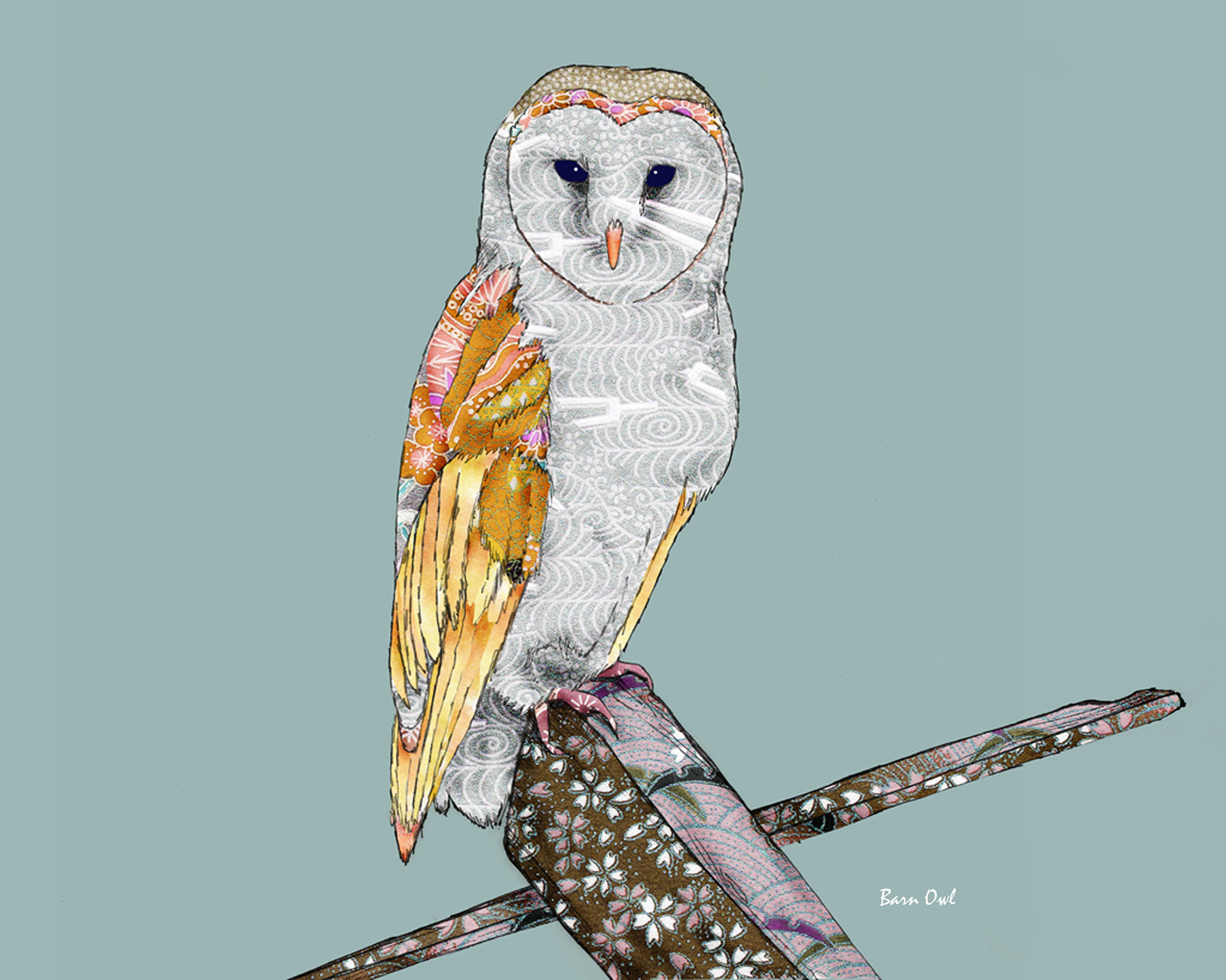Barn Owl