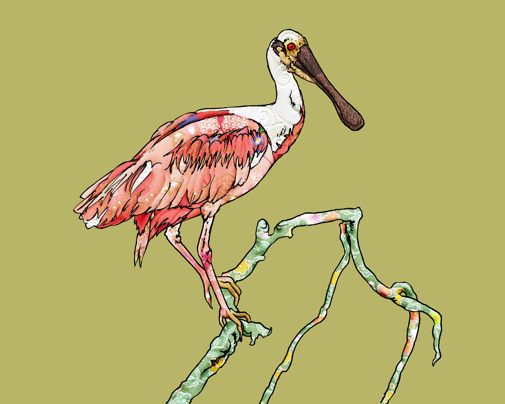 Scarlet Ibis