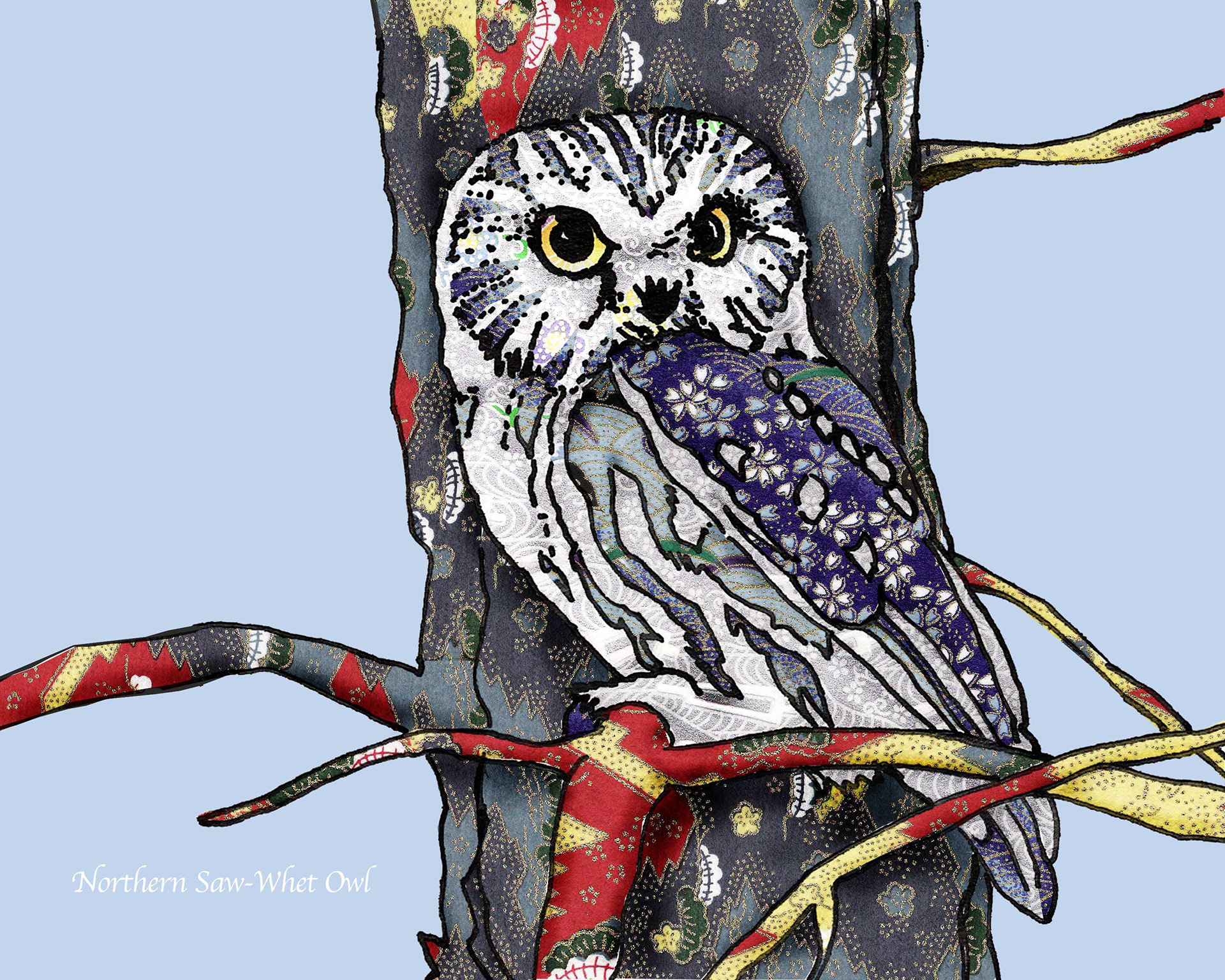 Northern Saw-Whet Owl