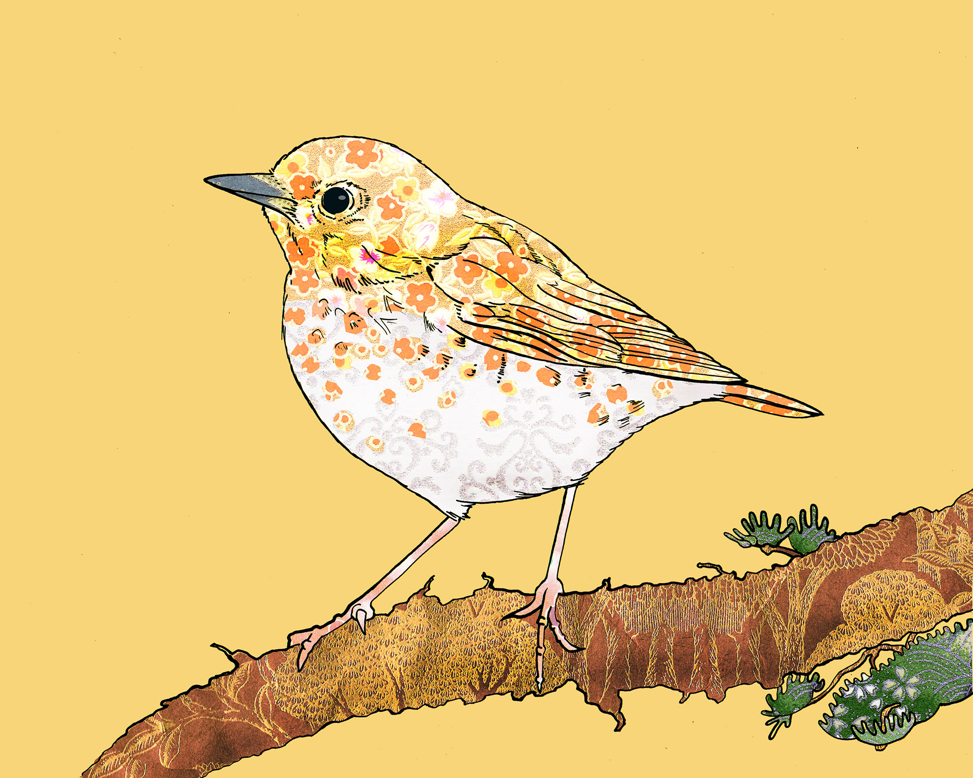 Bicknell's Thrush