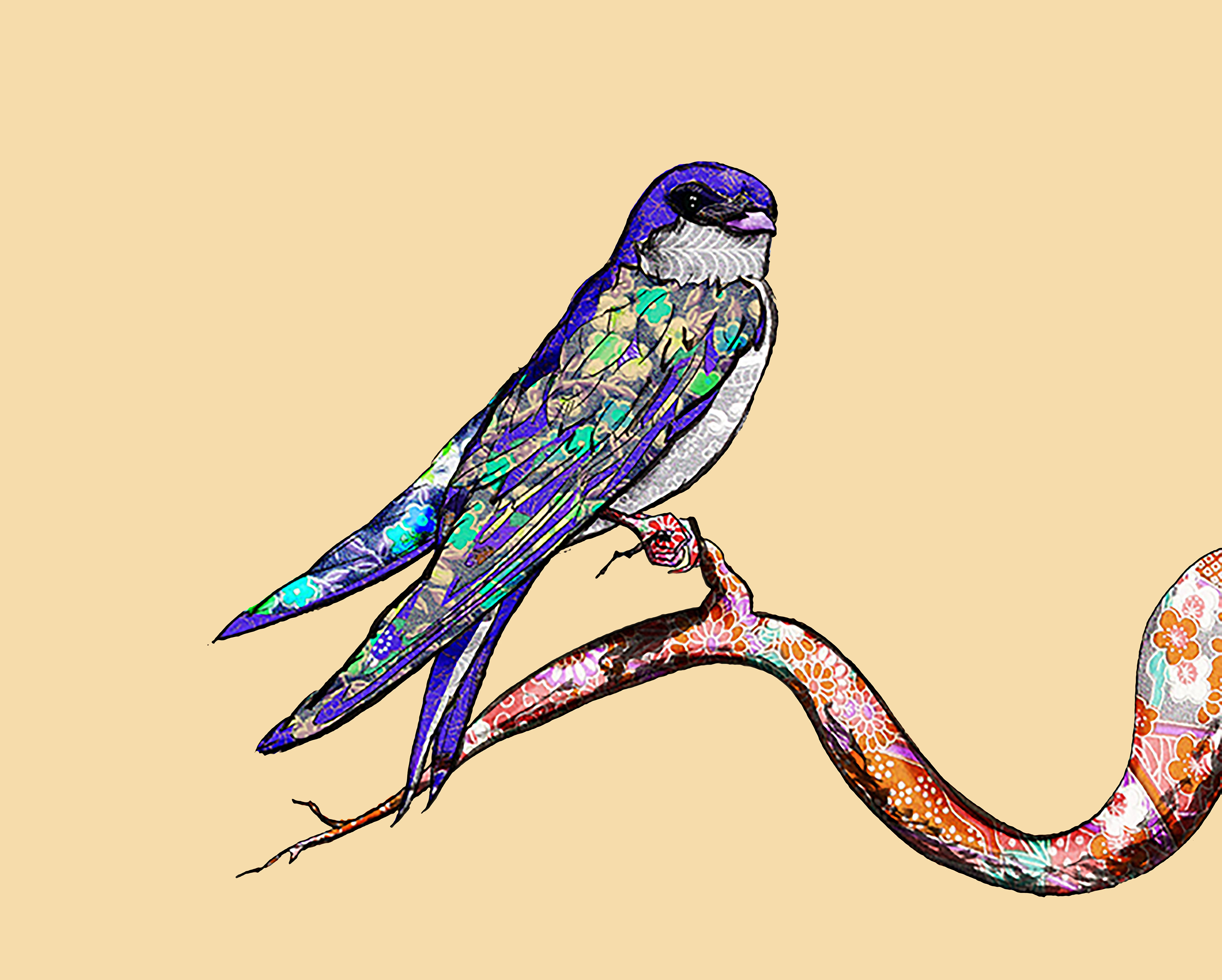 Tree Swallow