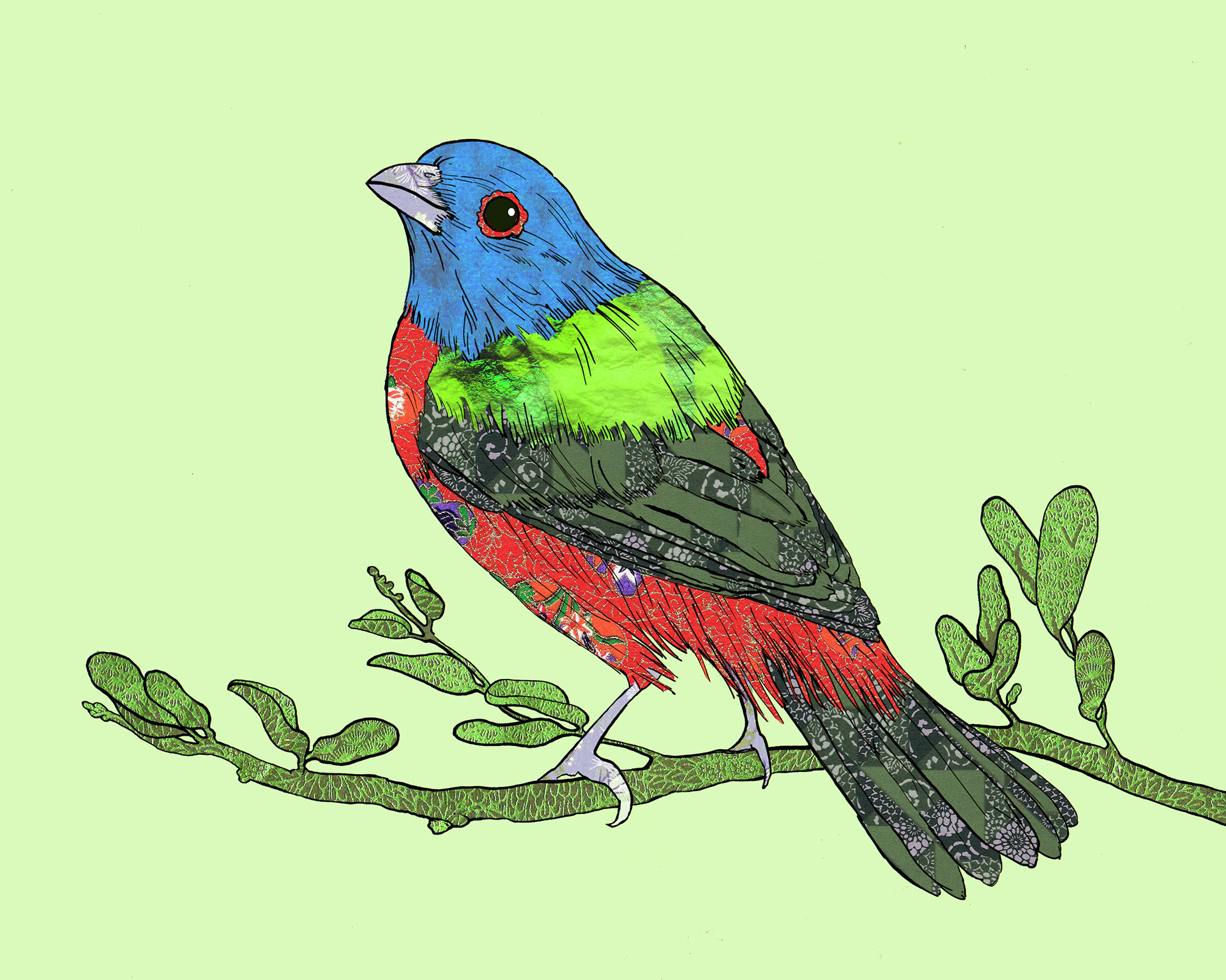 Painted Bunting