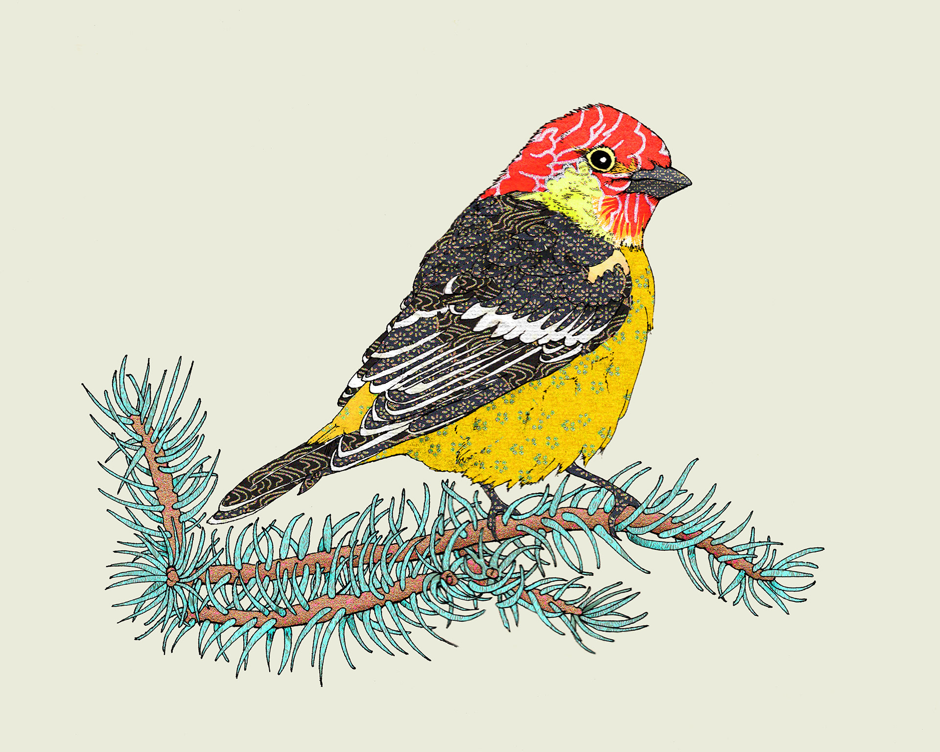 Tanager