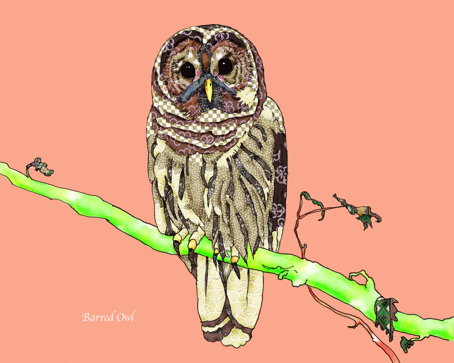 Barred Owl