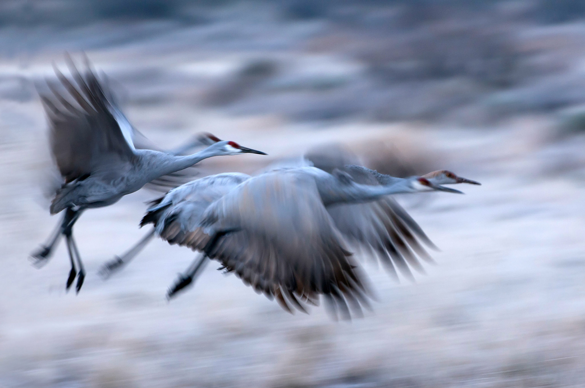 Start bei Minusgraden