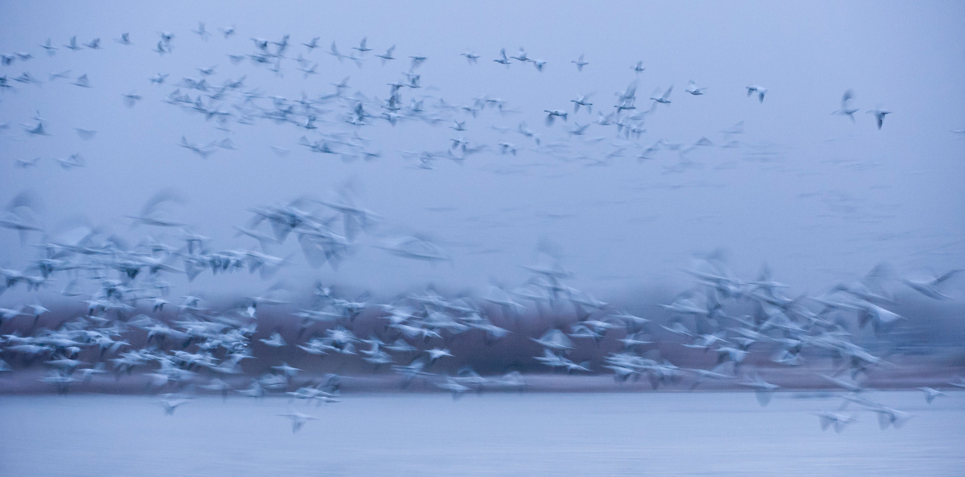 Morgenstart in der blauen Stunde