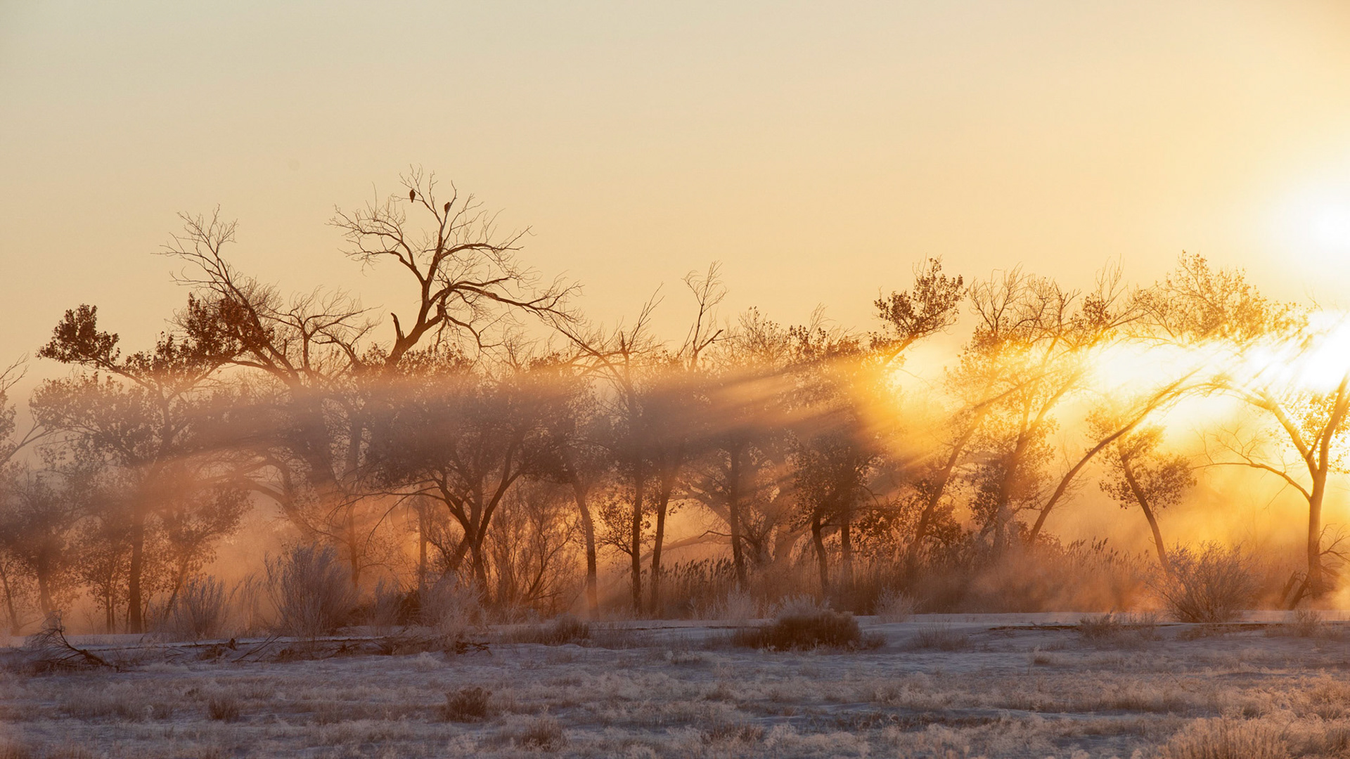 Morgenstimmung im Nationalpark Refugium