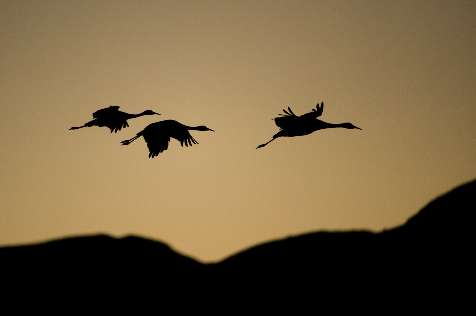 Die Nacht bricht herein