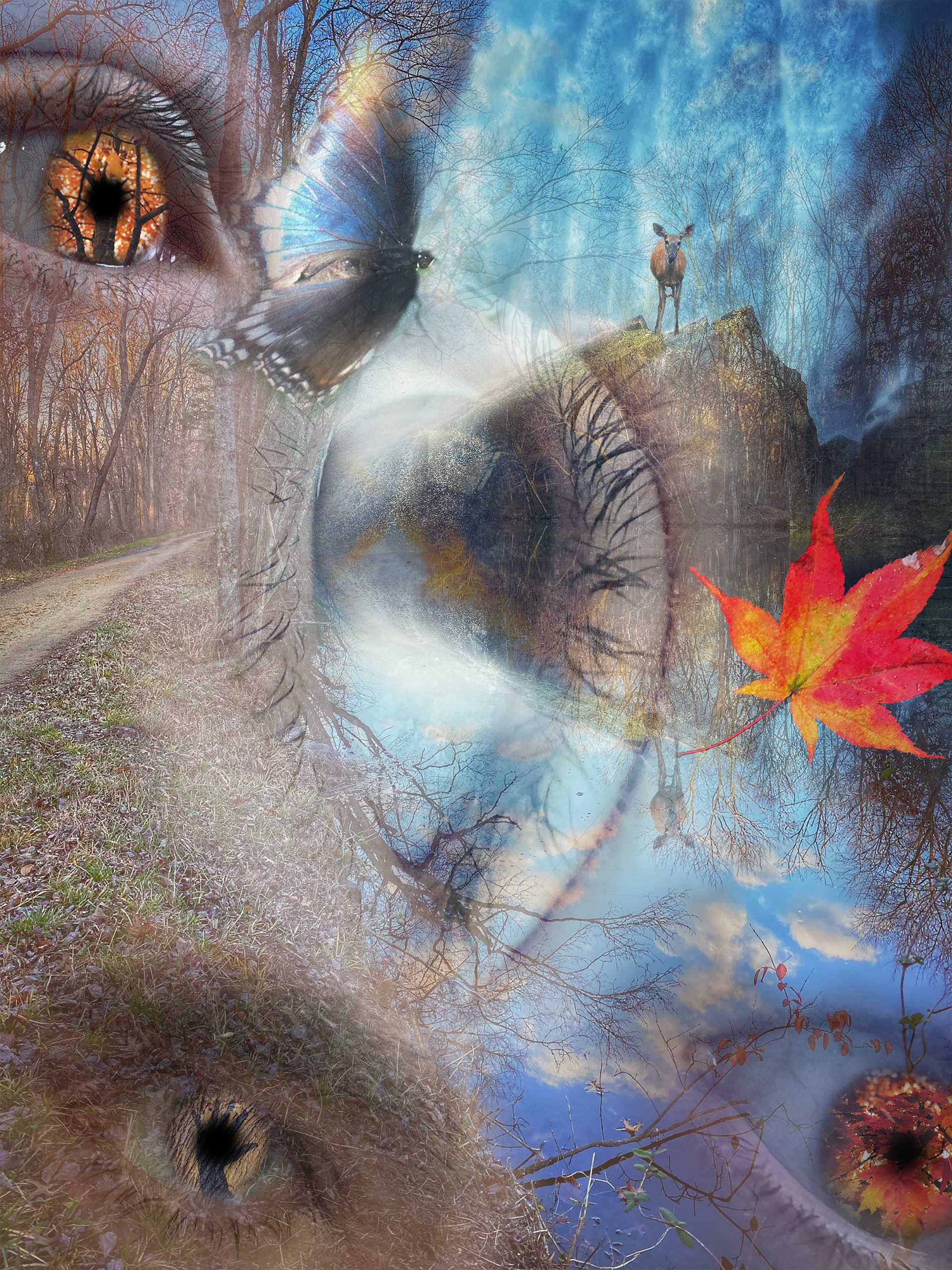 To See & To Be Seen: Scholastic Awards Honorable Mention