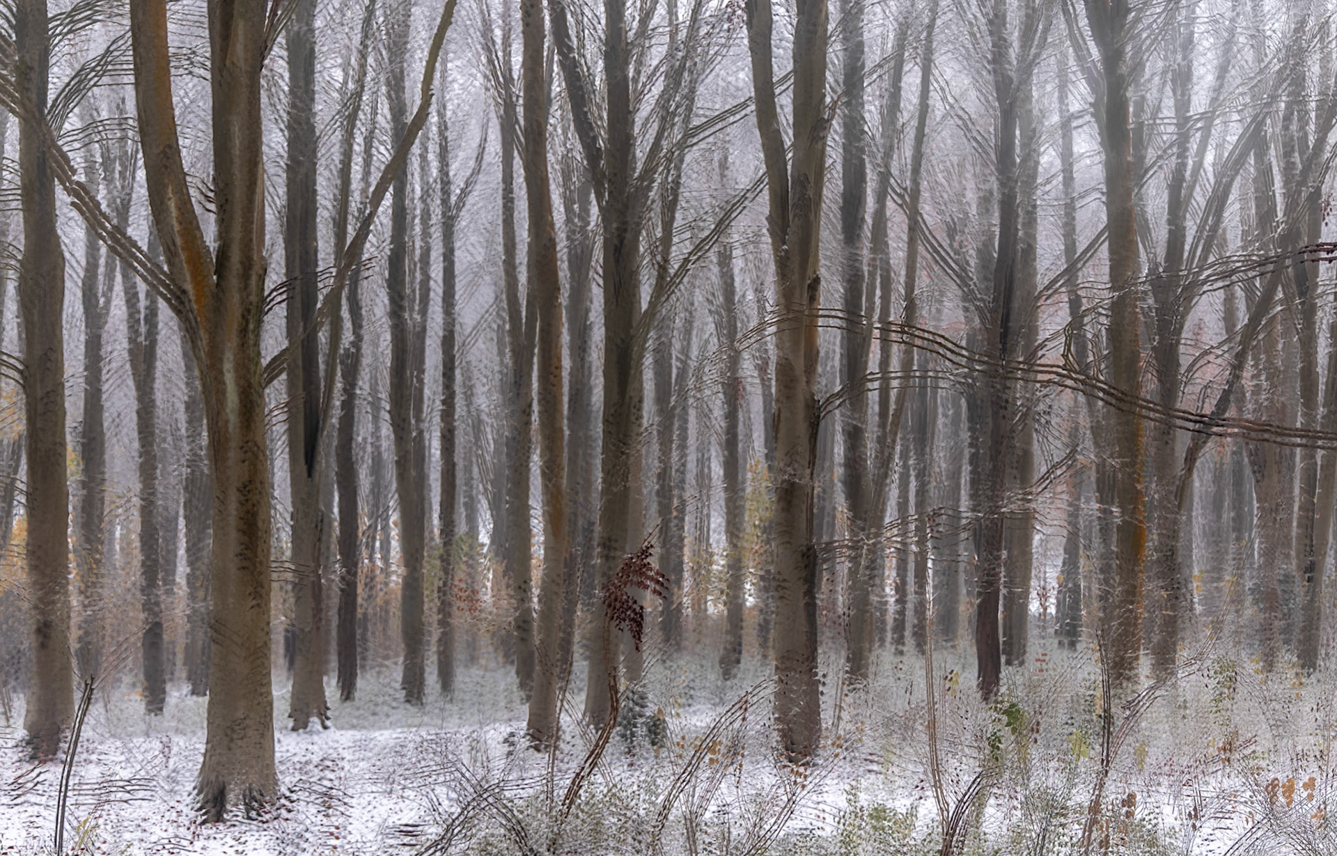 Another Winter