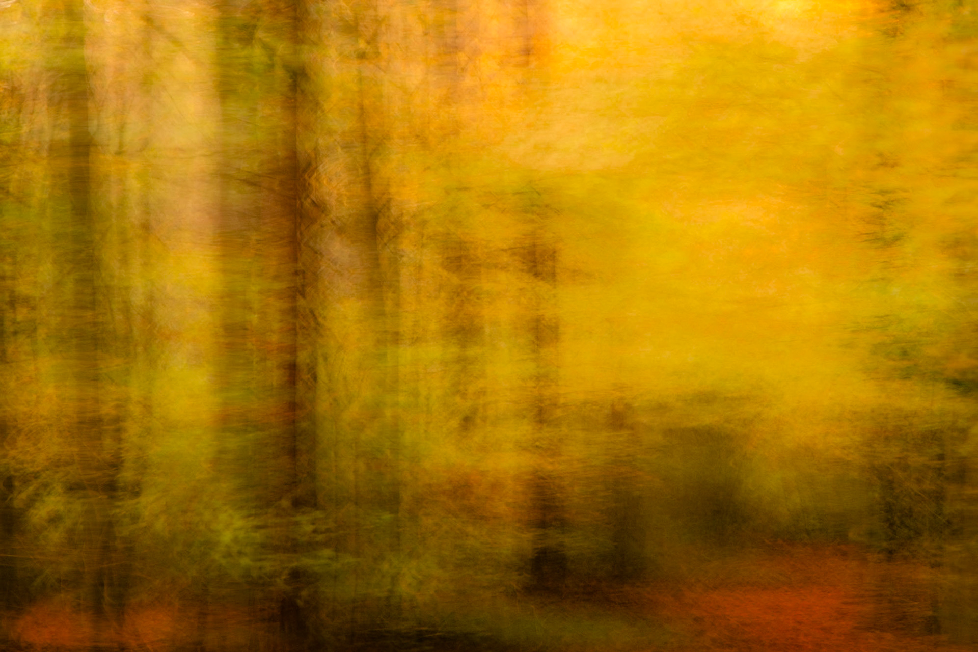 Autumn Sunset inspired by Valda Bailey
