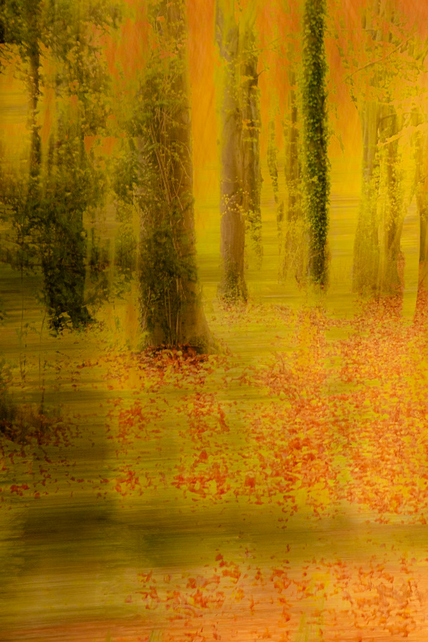 Autumn Sunset inspired by Valda Bailey