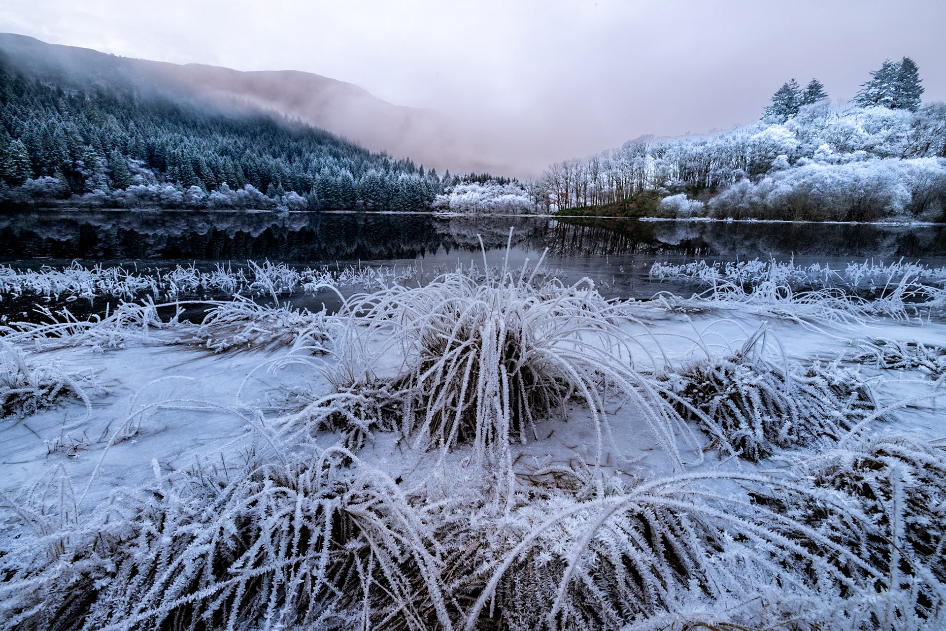 Hoar frost, Loch Chon