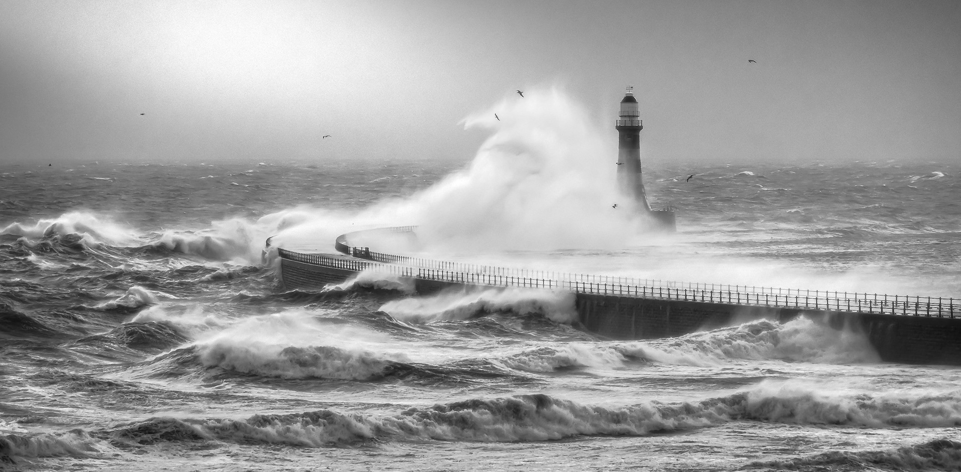 Roker Lighthouse, 2024