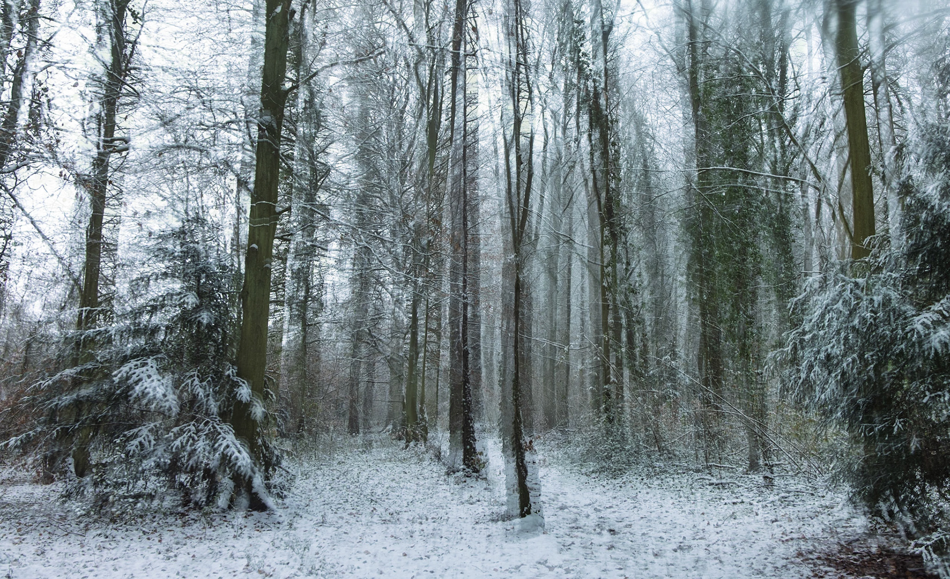 Winter