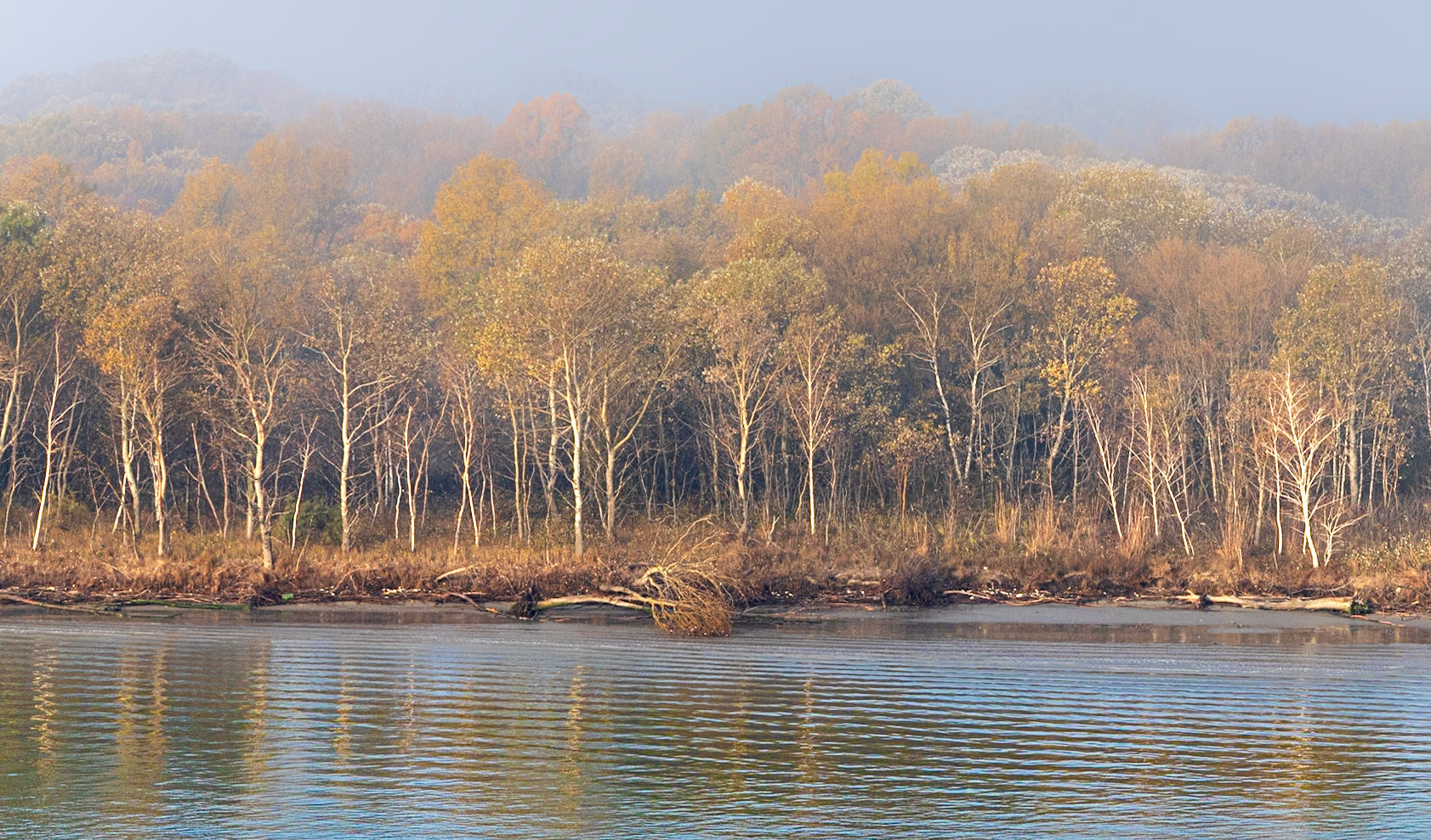 Entering Venice Lagoon 2021