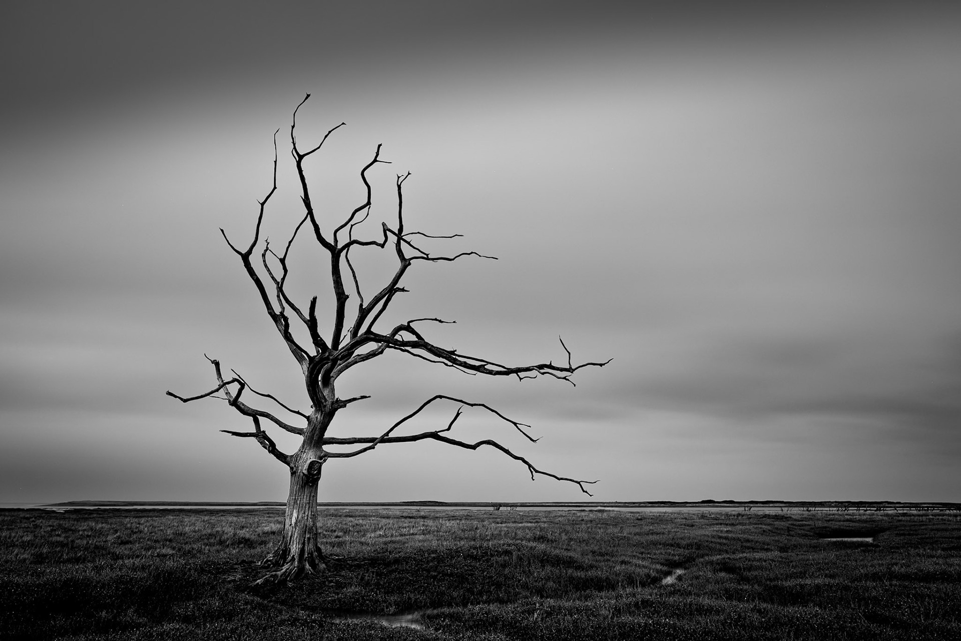 Porlock Marsh