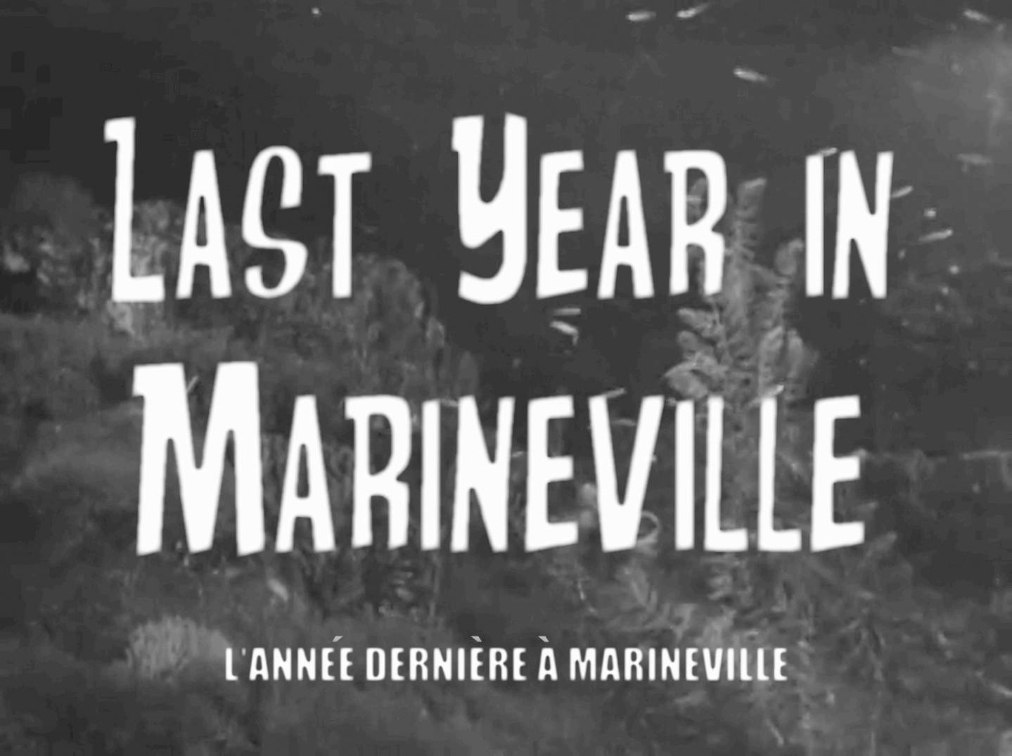 Title Card for Short Film