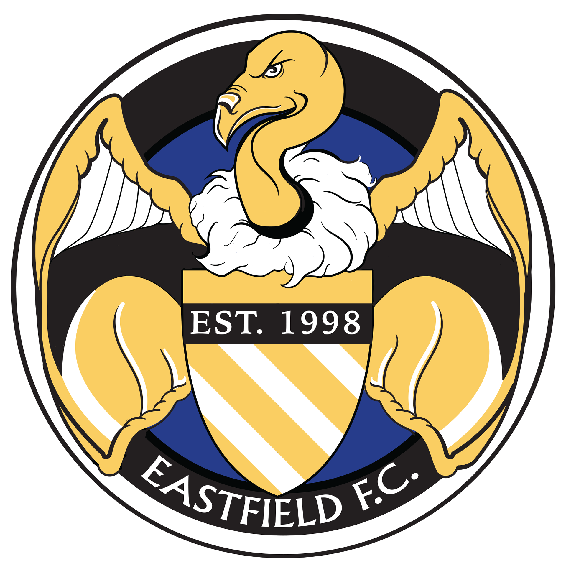 Football Team Logo