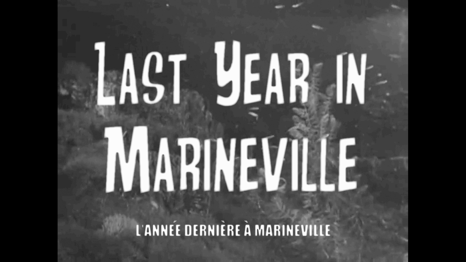 Last Year in Marienville
