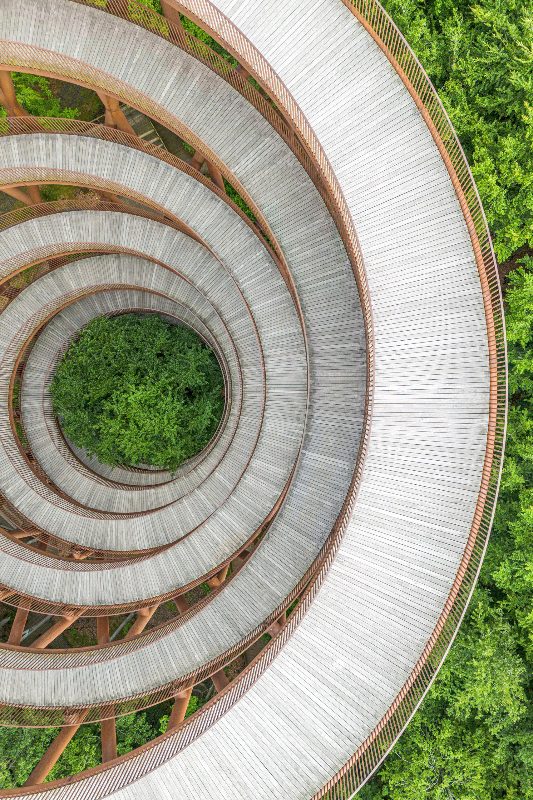 Forest Tower Camp Adventure Denmark | Architekt: EFFEKT
