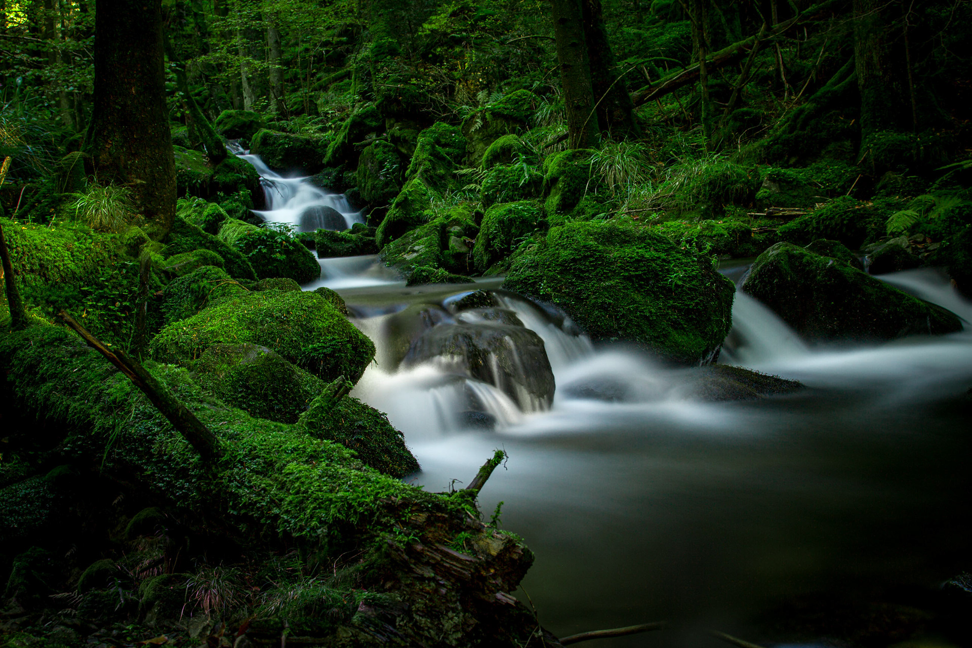 Schwarzwald-Baden-Württemberg-Germany