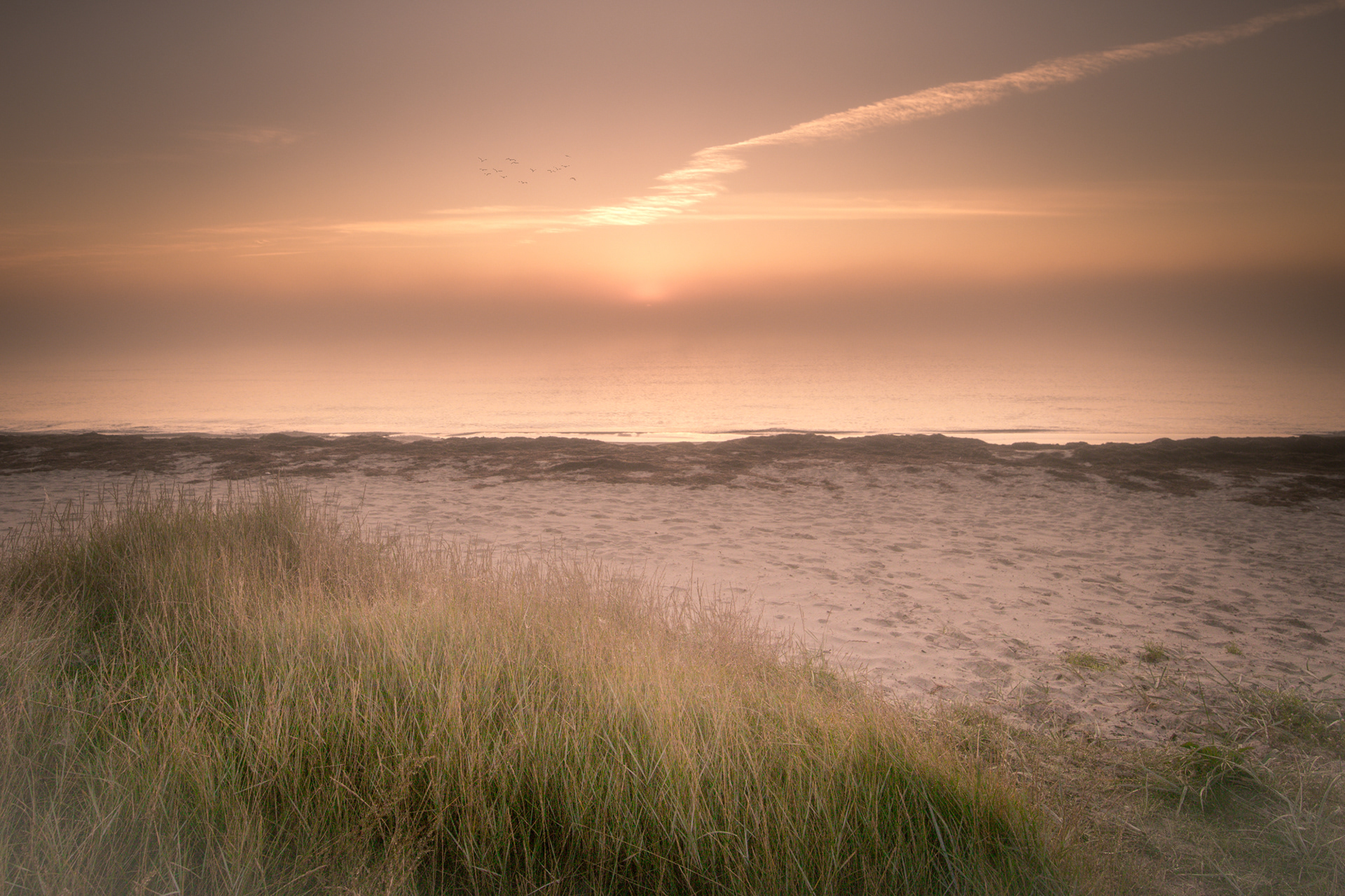 Feddet Strand-Denmark