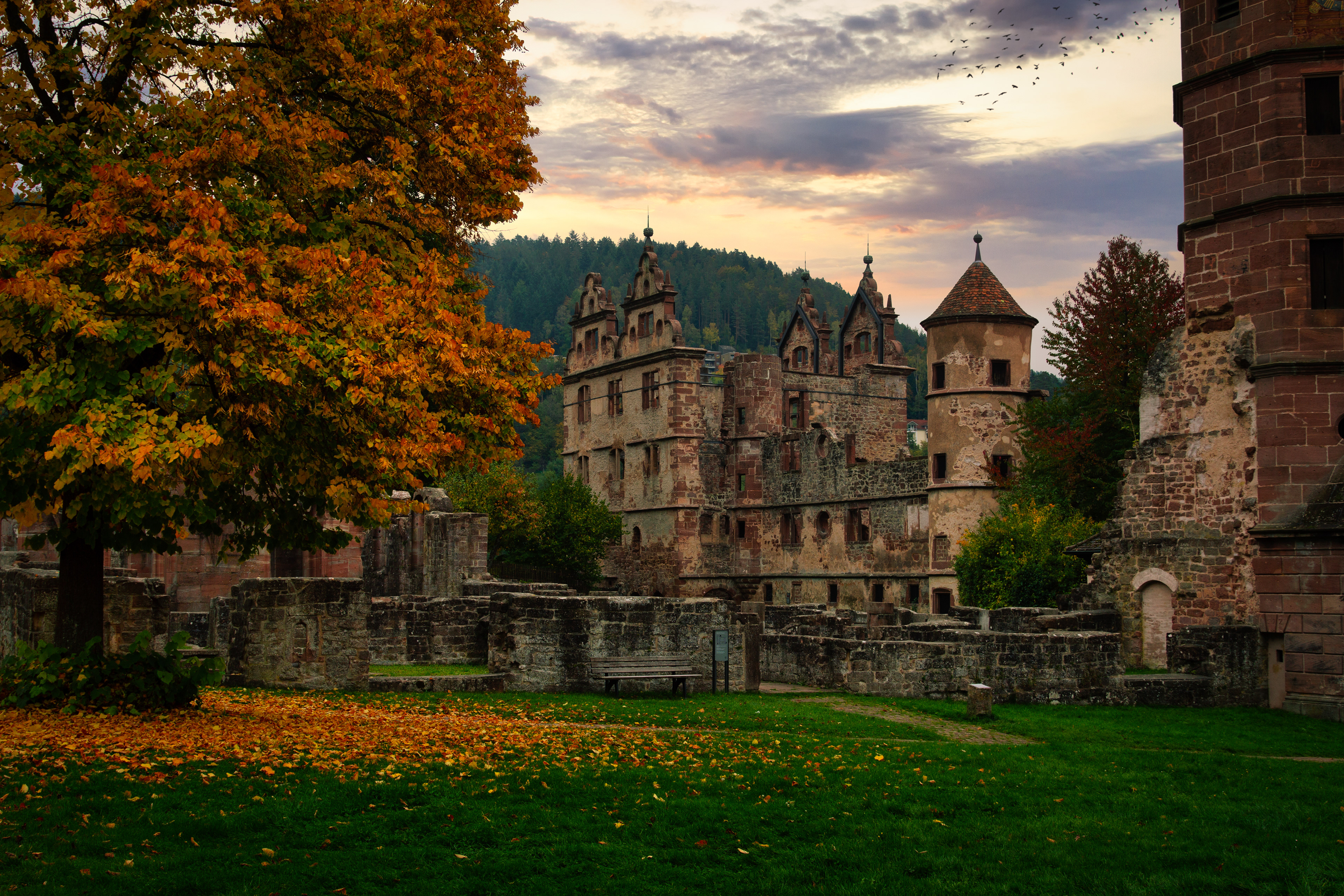 Kloster-Hirsau-Baden Württemberg-Germany