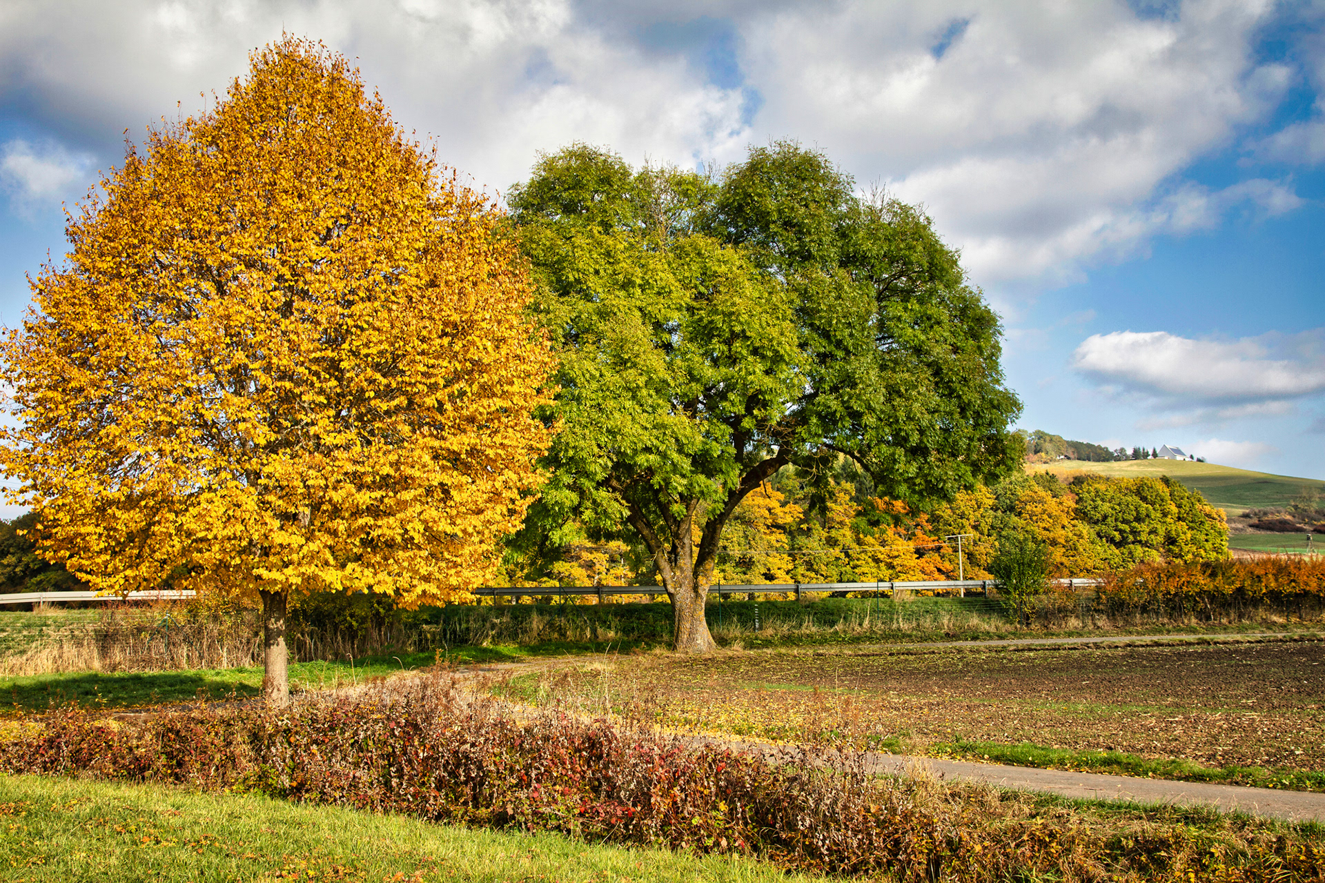 Gutmadingen-Baden-Württemberg-Germany