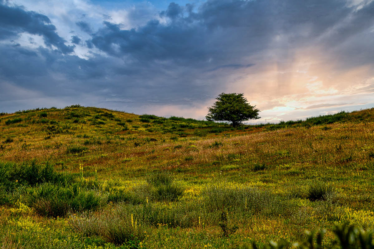 Insel Hiddensee-Ostsee-Germany