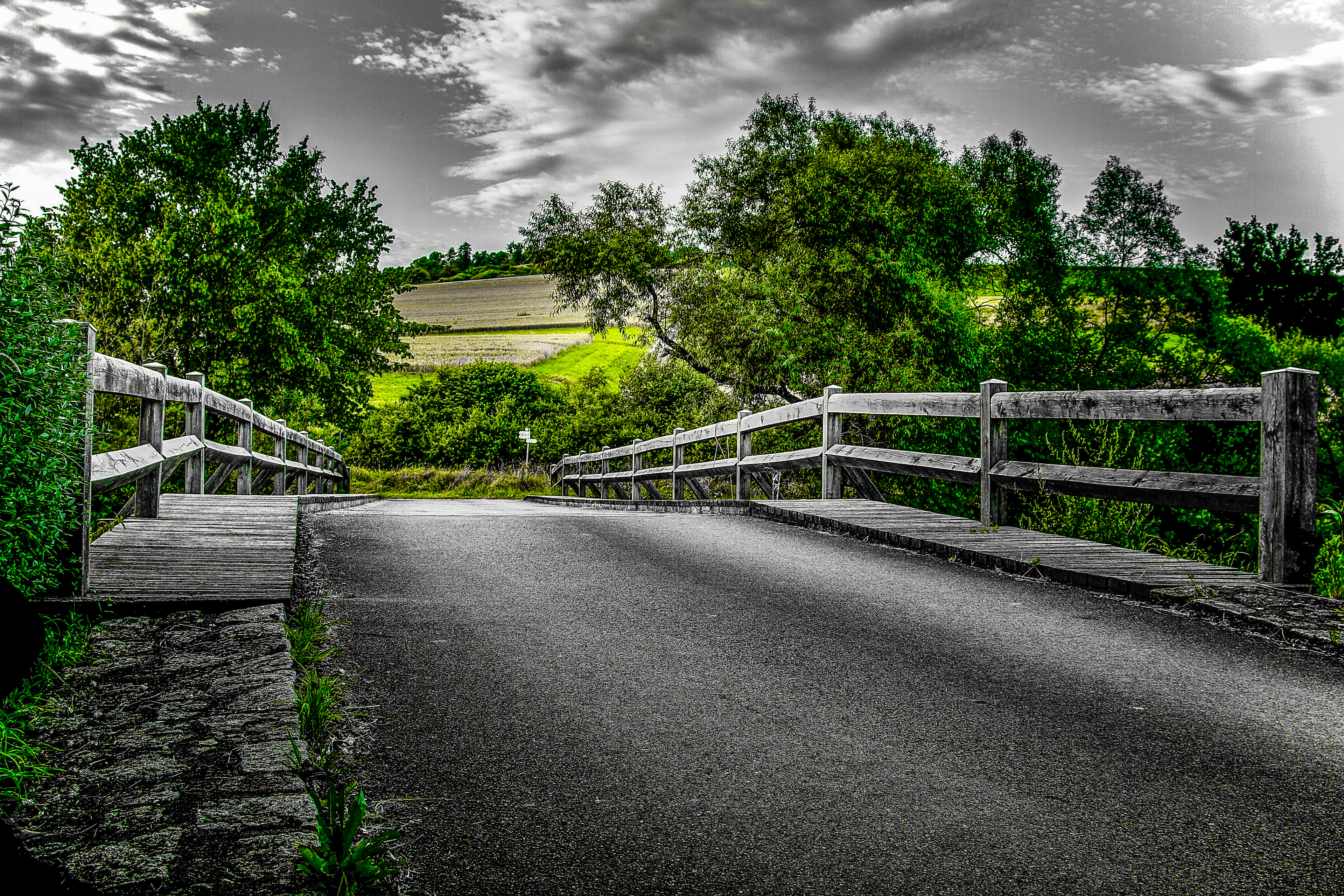 Holzbrücke-Donau-BW-Germany