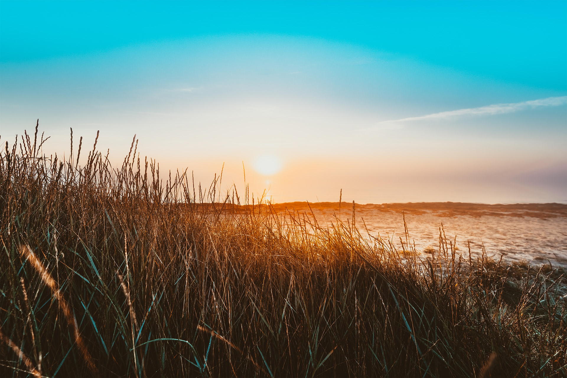Feddet Strand-Denmark