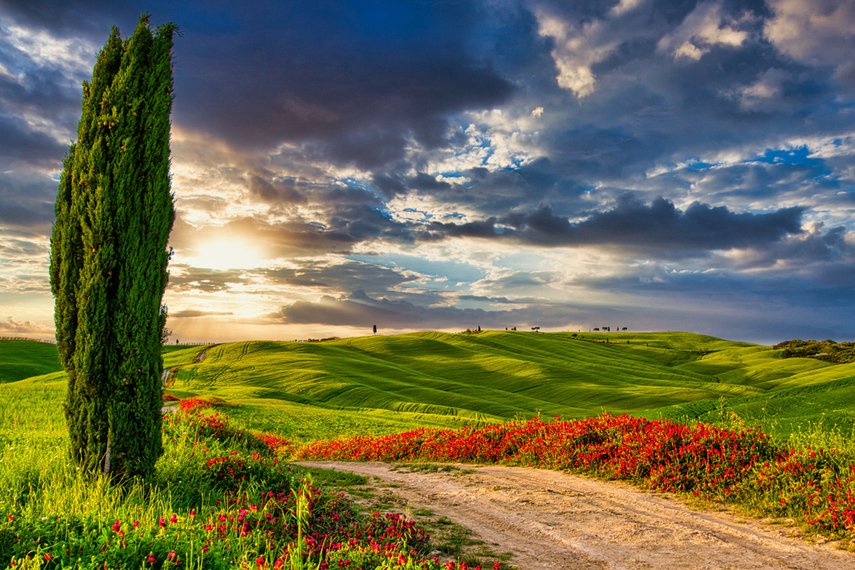 Tuscany-Florence-Italy