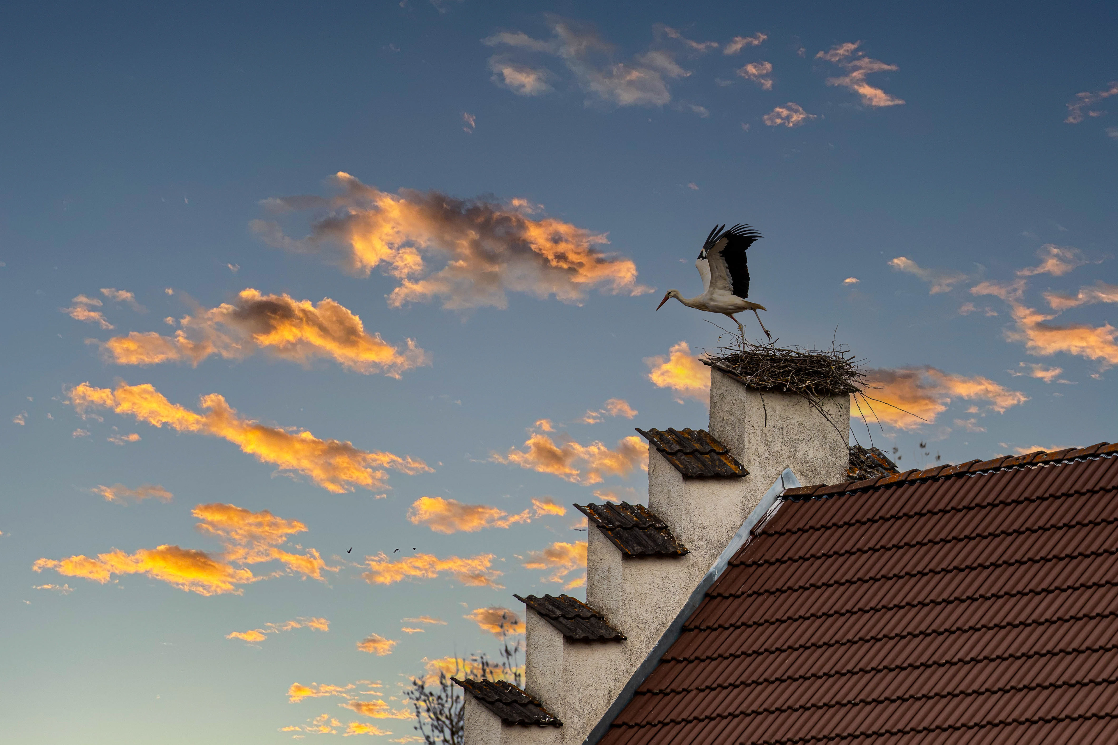 Gutmadingen-Storch