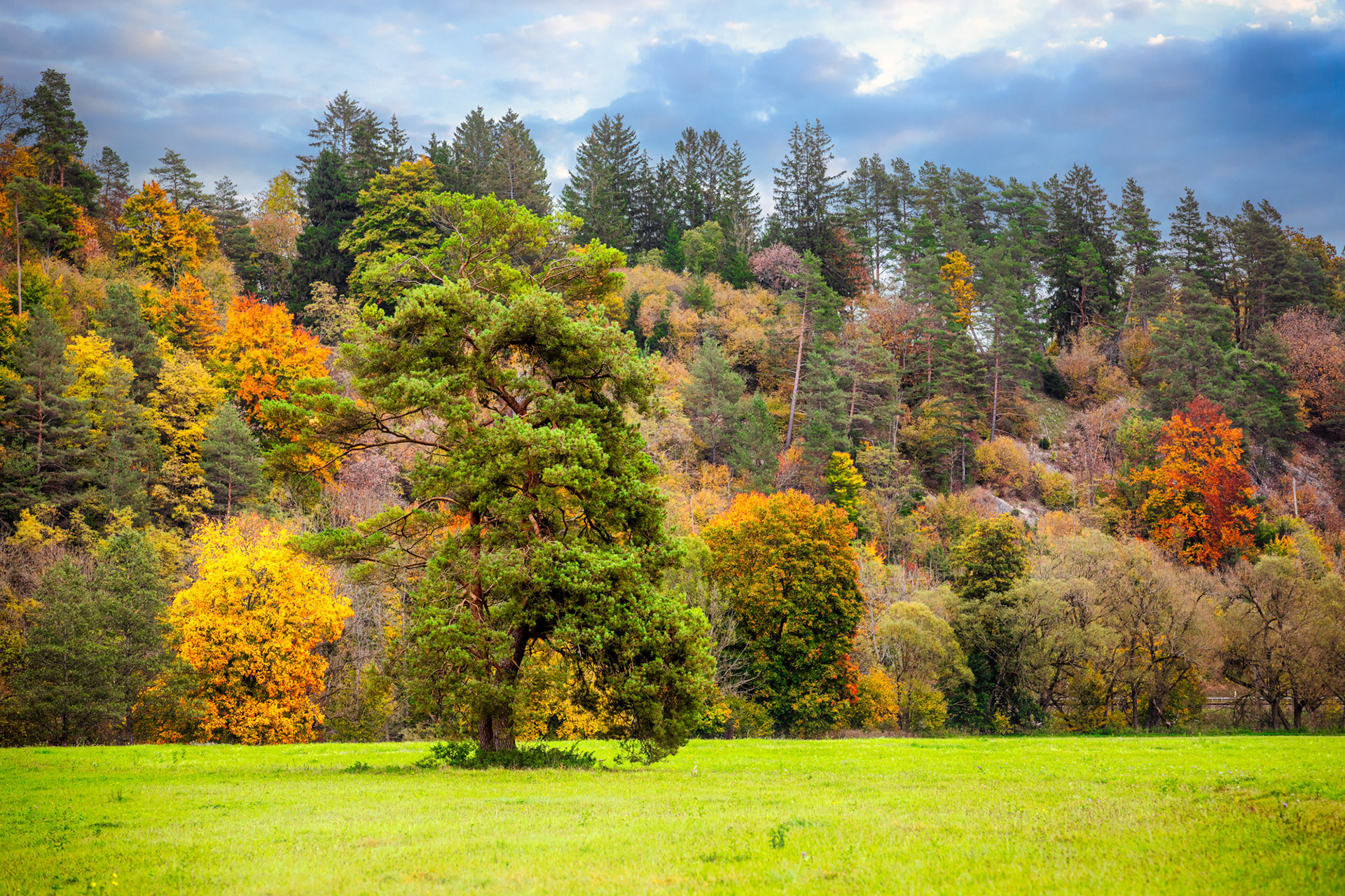 Immendingen-Baden-Württemberg-Germany