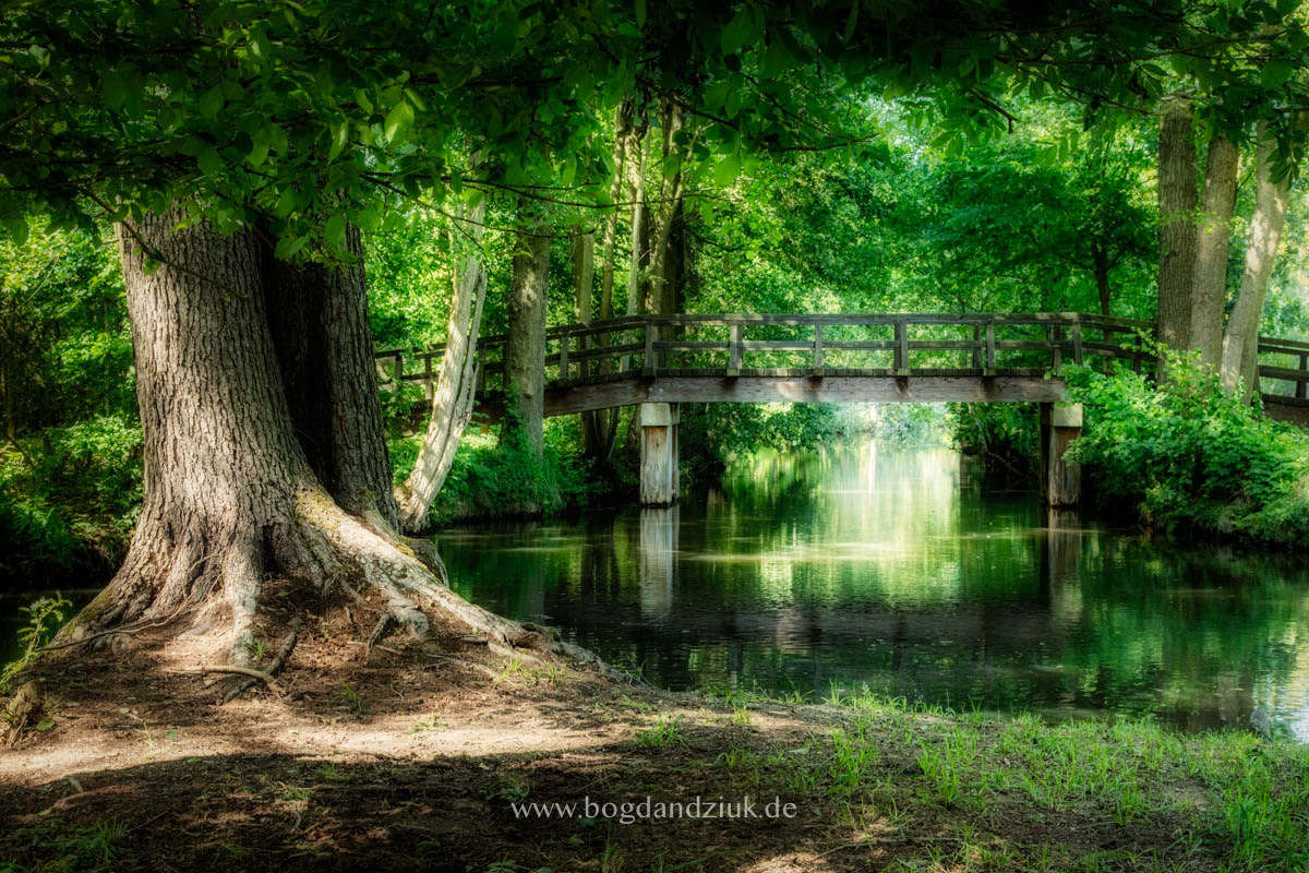 Spreewald-Brandenburg-Germany