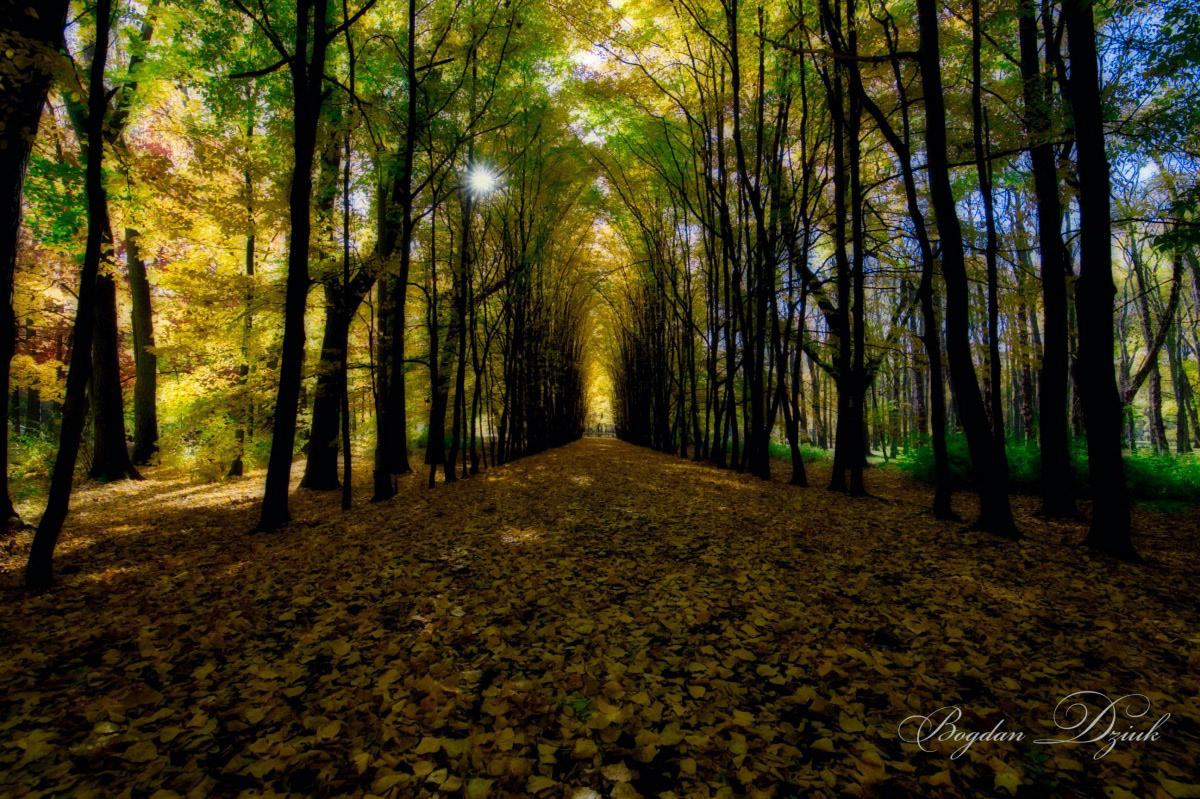 Siemianowice - Silesia - Poland