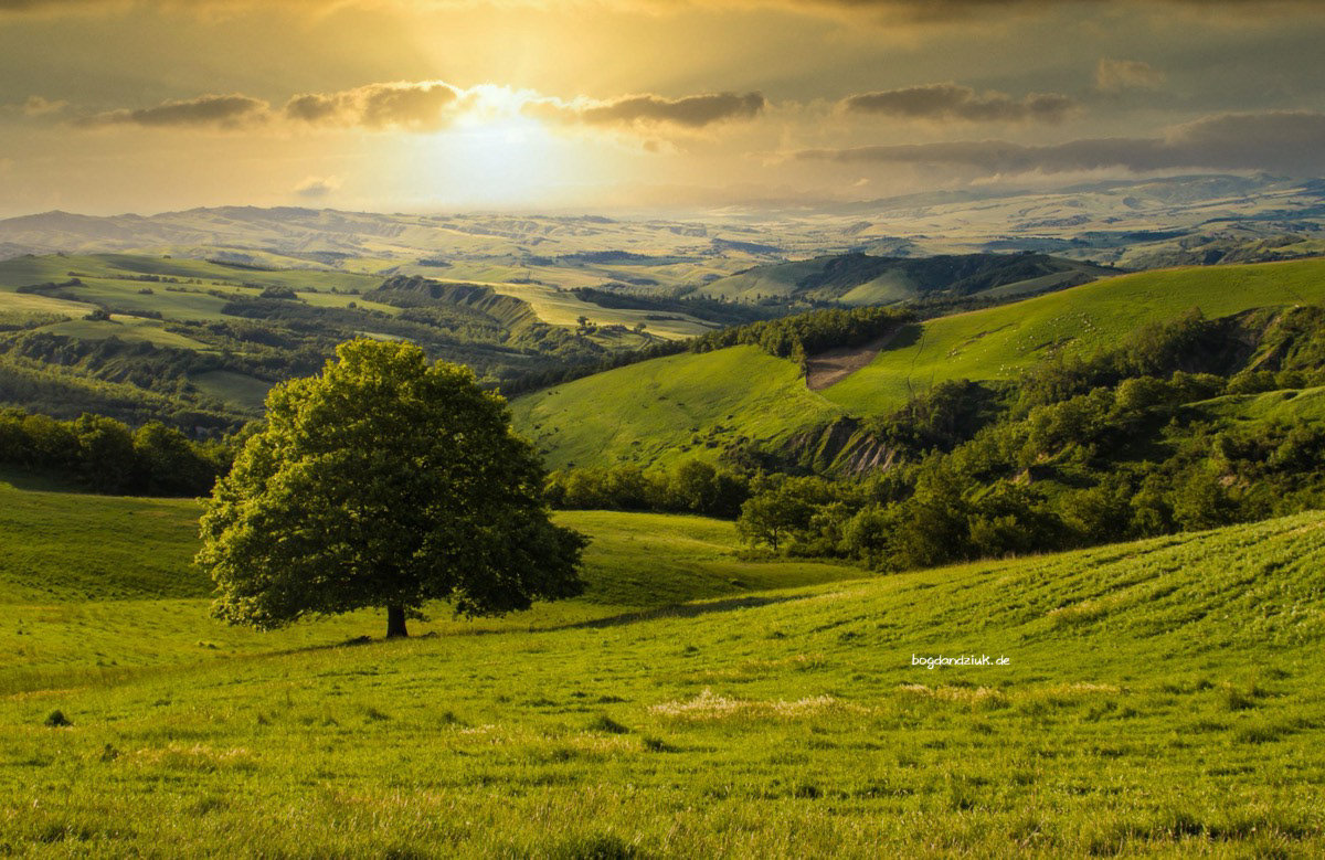 Tuscany-Florence-Italy