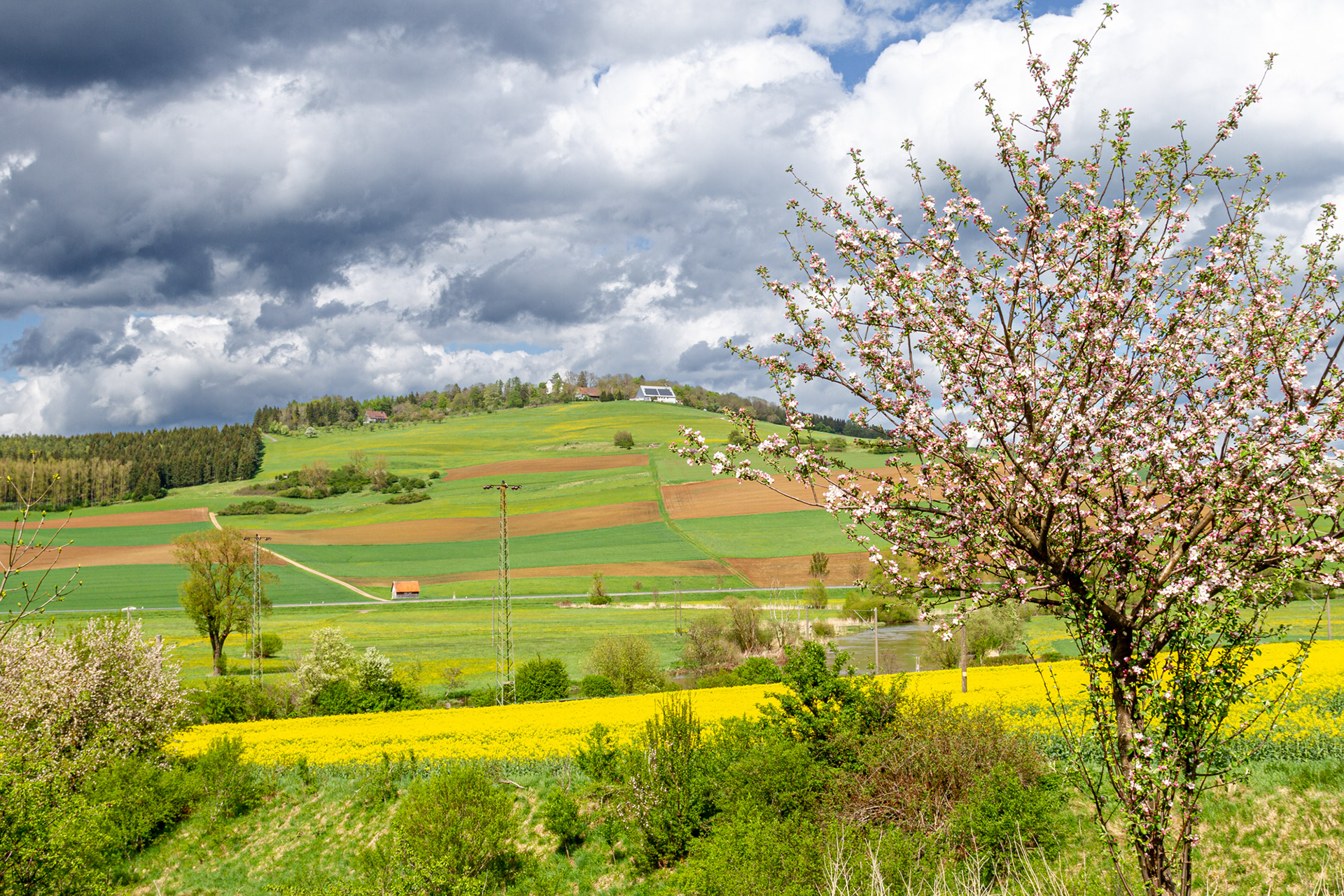 Wartenberg-Baden-Württemberg-Germany