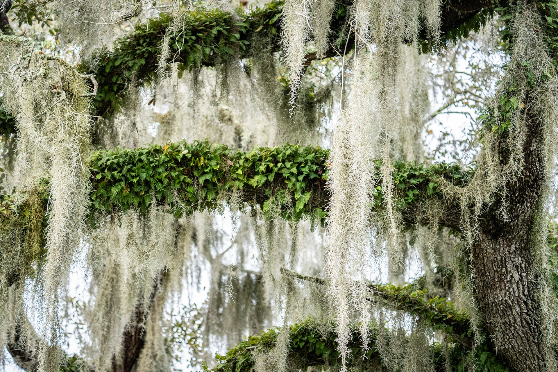 Circle B Bar Reserve