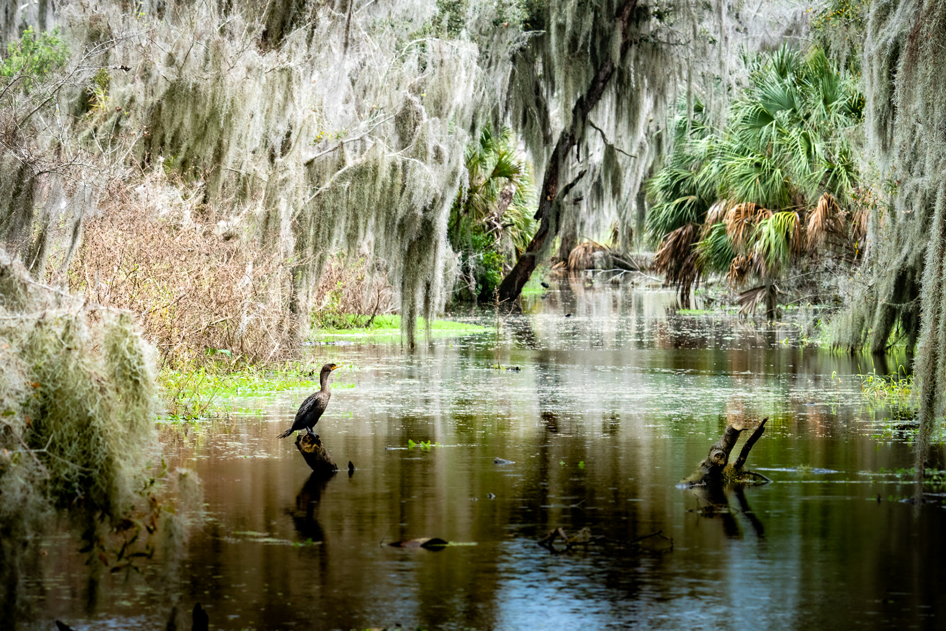 Circle B Bar Reserve