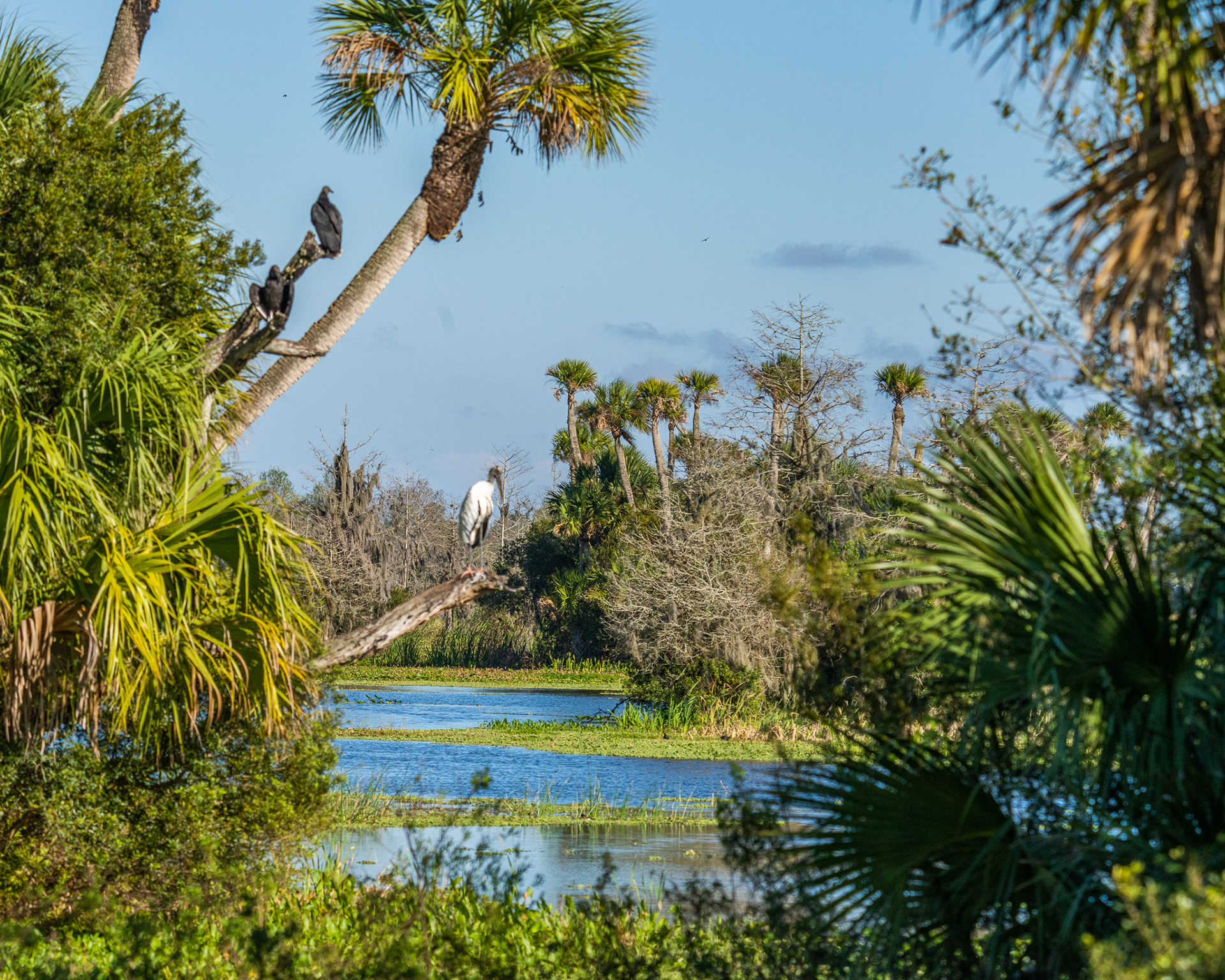 Orlando Wetlands