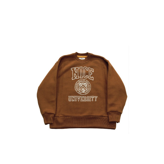 【H-CS023】Camel