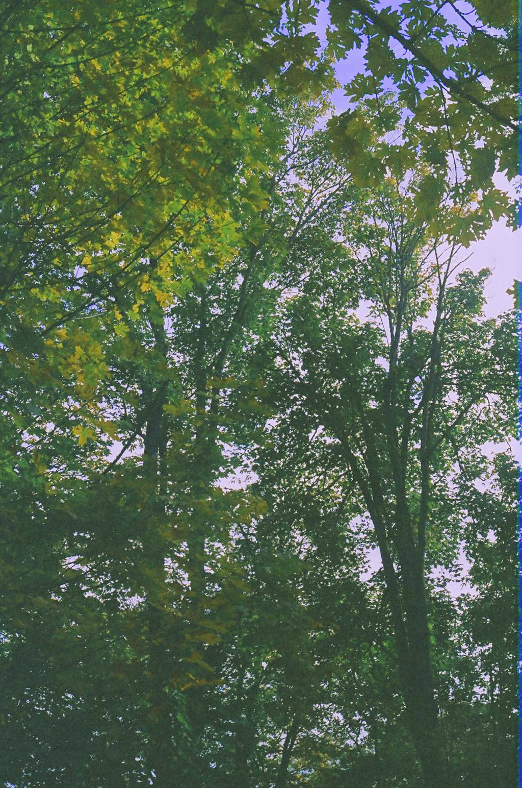 Processed with VSCO with kc25 preset