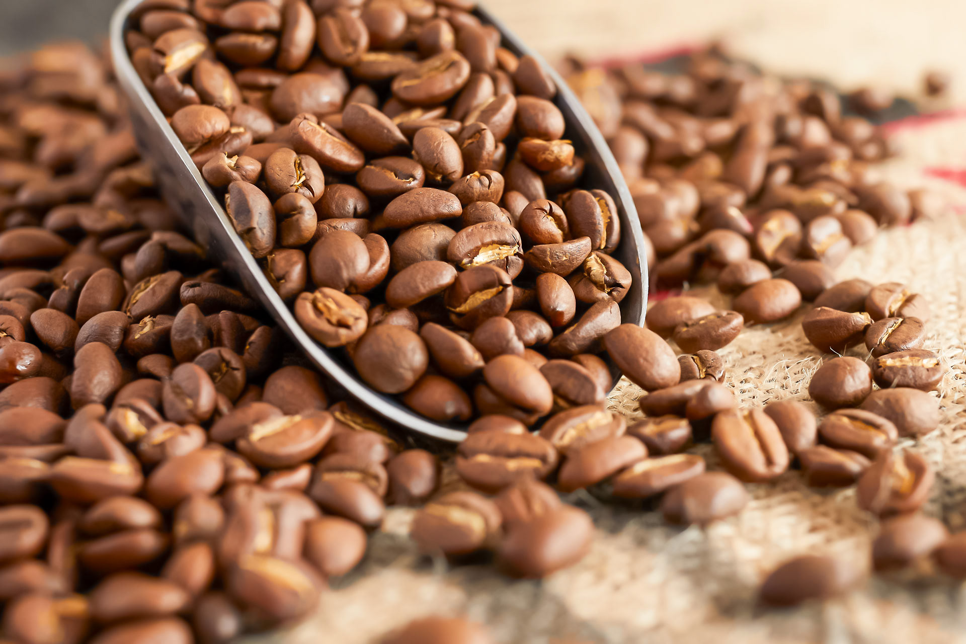 Pitta Coffee / 高知