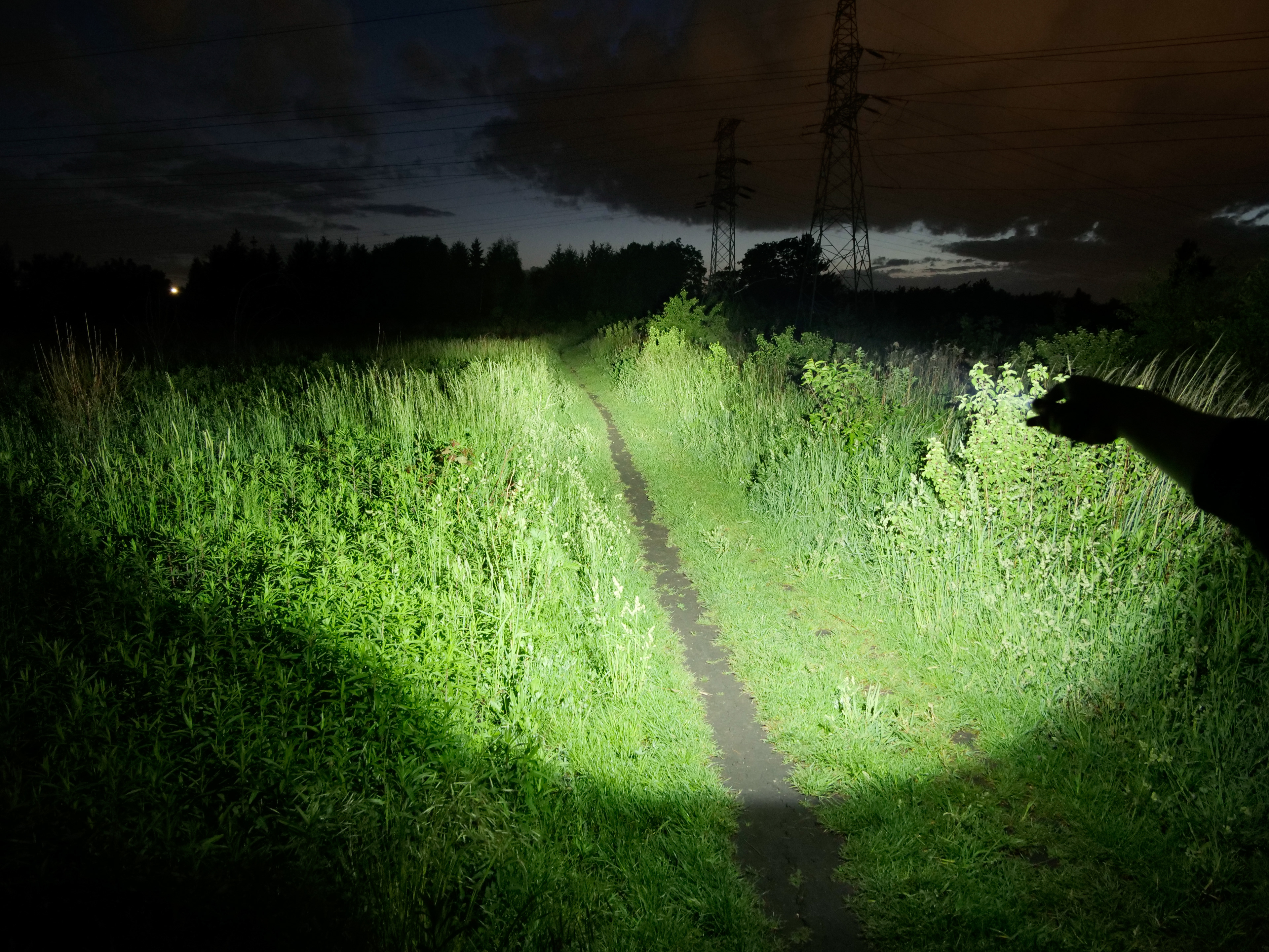 OLIGHT WARRIOR MINI 2