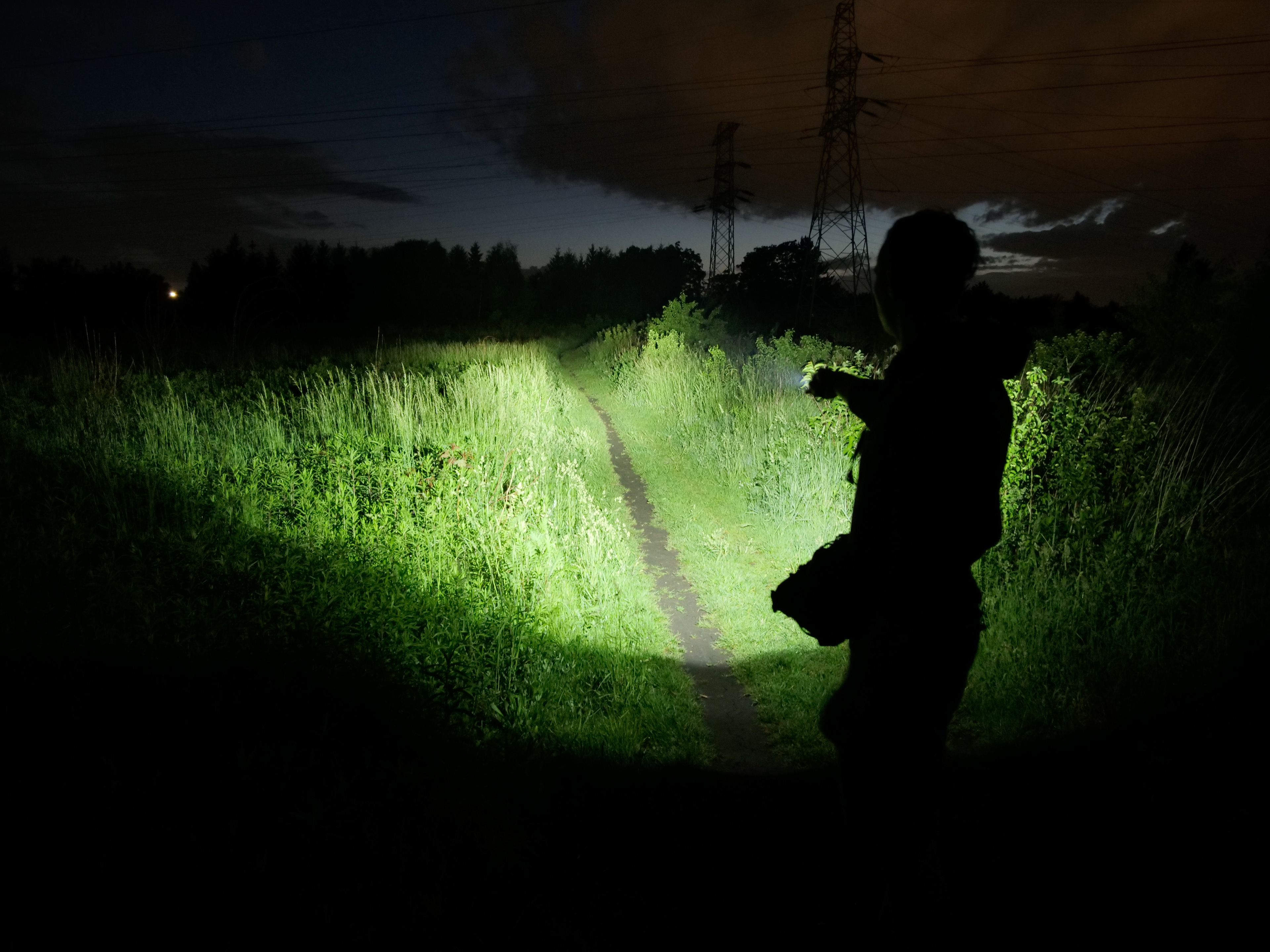 OLIGHT WARRIOR MINI 2